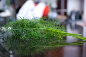 dill.jpg