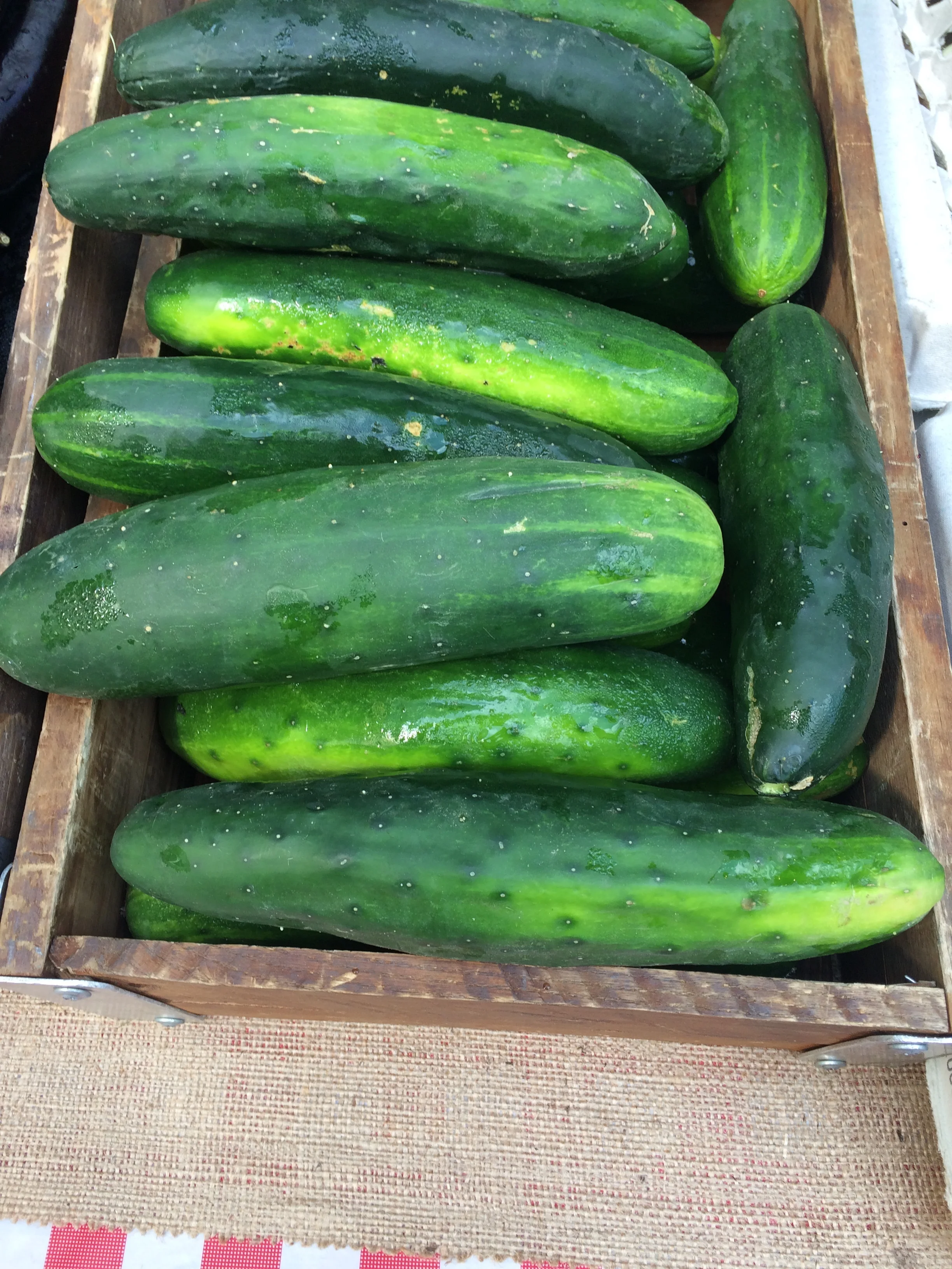 cukes.jpg