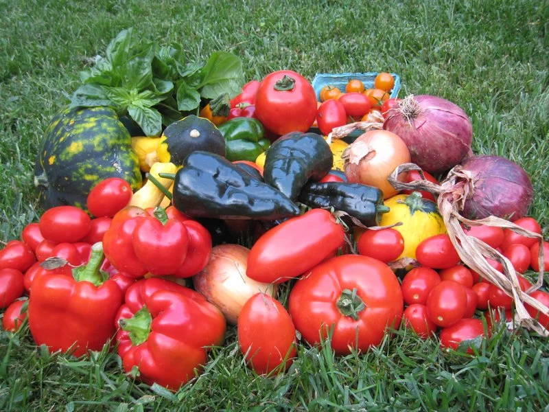 Benefits Package: Sign up for a Workplace CSA Now