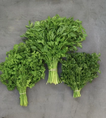 parsley.jpg