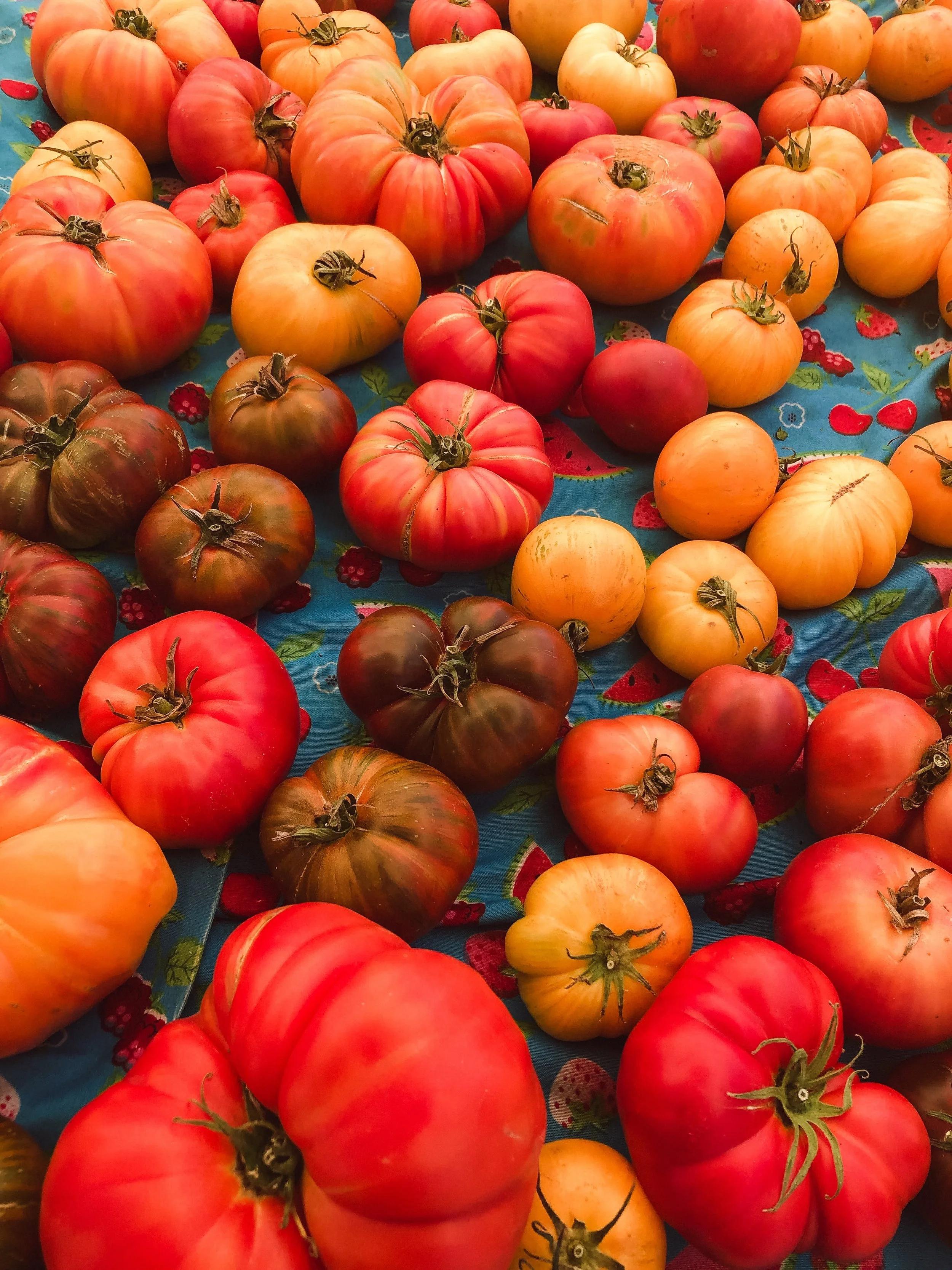 Heirloom Tomatoes