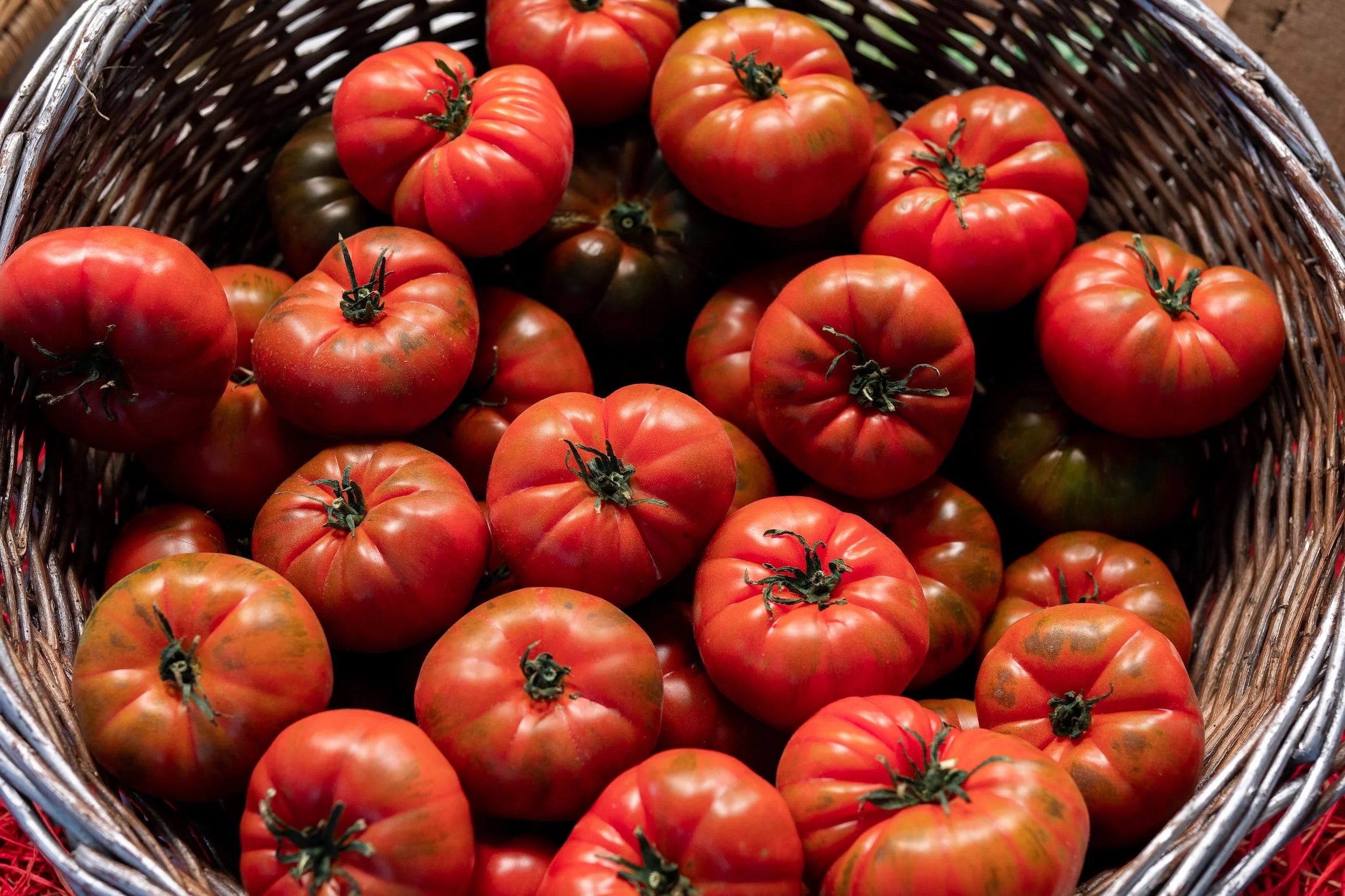 Beefsteak Tomatoes