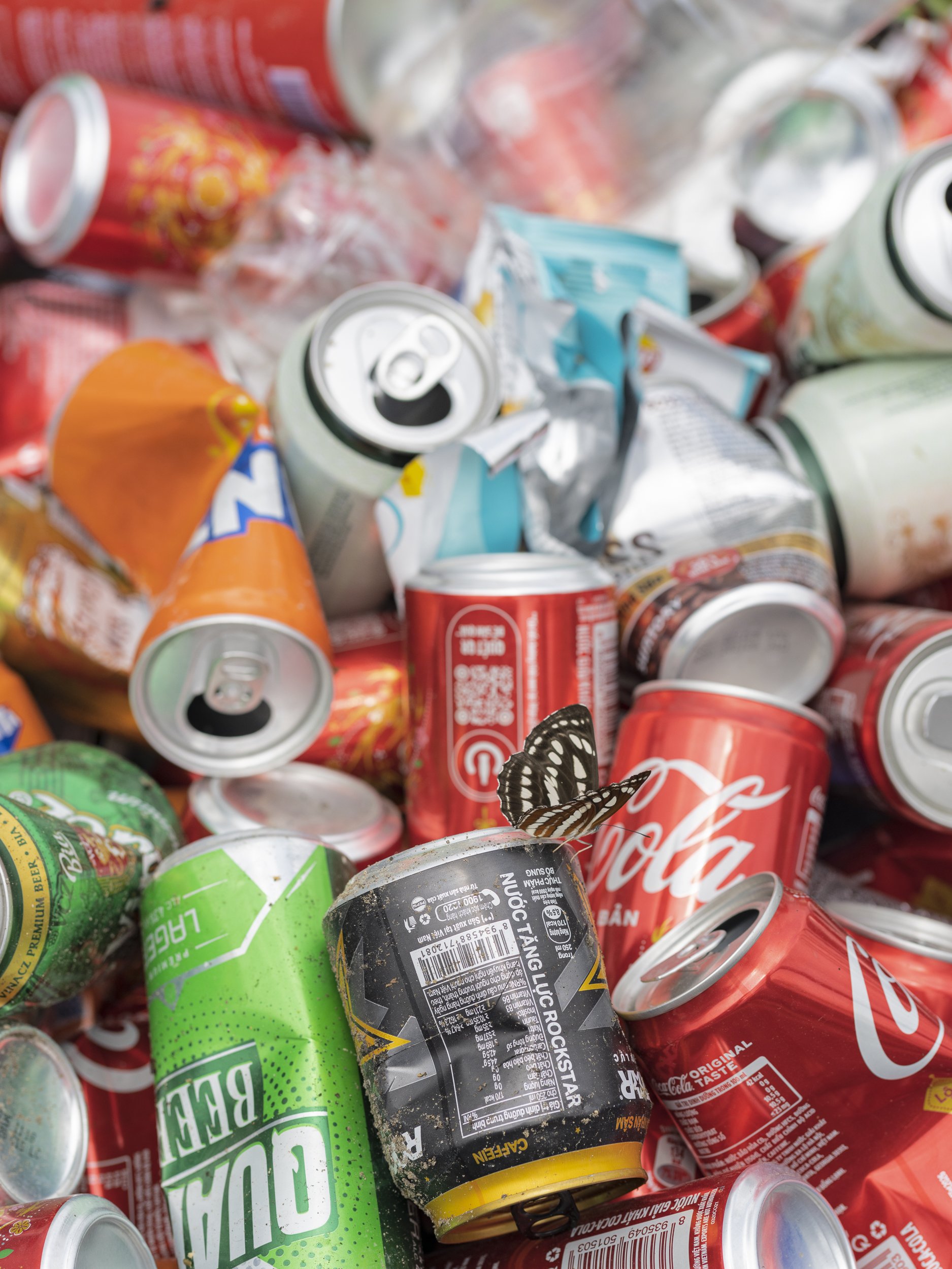 Butterfly, Cola, Fanta, Aluminum Cans, Recycling, Coca-Cola, Beer, Lager, Ha Giang Loop, Vietnam, Southeast Asia