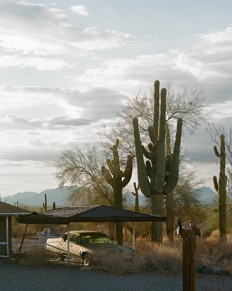 Arizona Route 71, Wild West, Vintage, Car, Cactus, Golden Hour, Monsoon Season, Classic American, Film, Medium Format Film, Pentax, Kodak Portra
