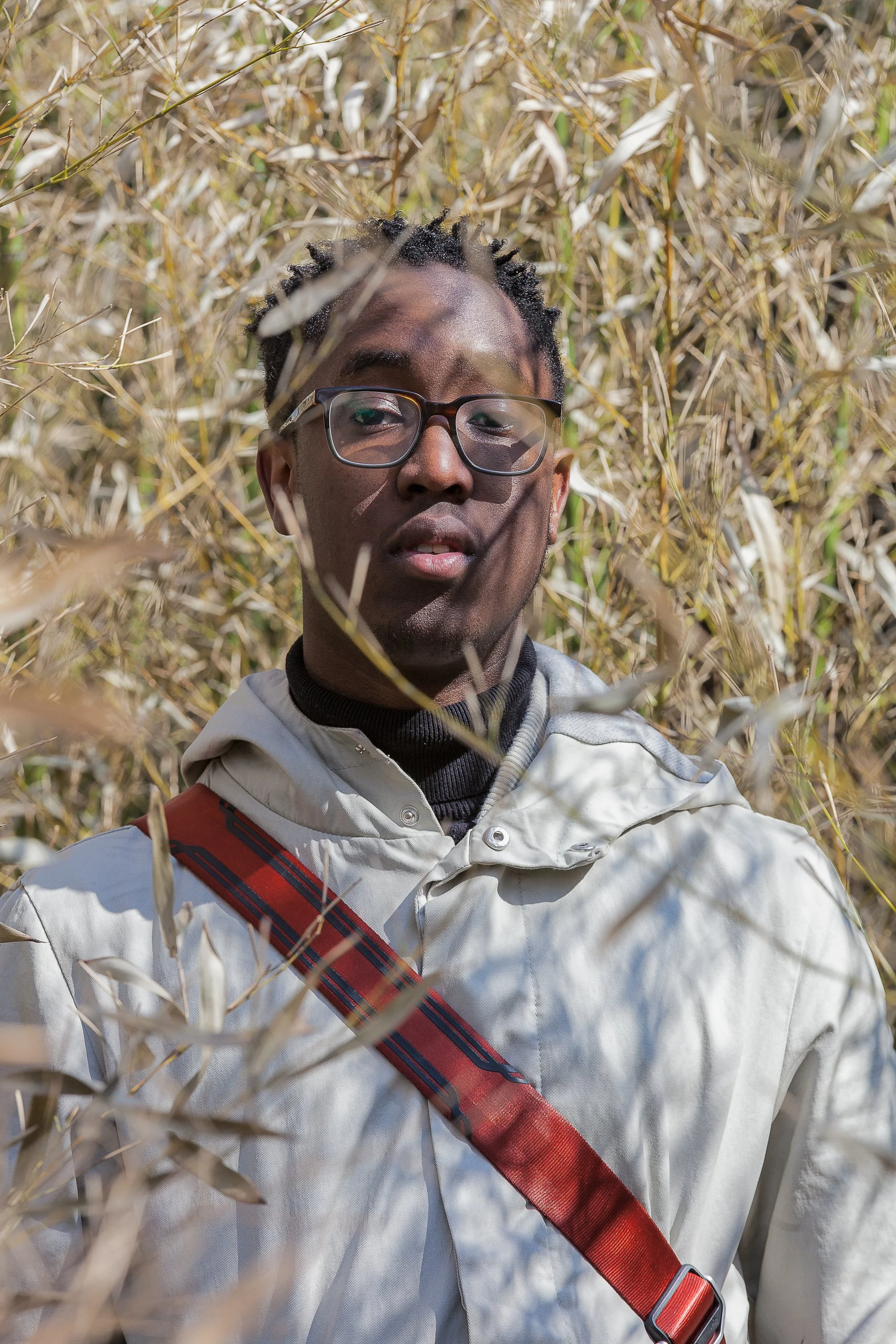 Chicago, Dennis Elliott, Photographer, Neutral Colors, Tall Grass, City Park, Ping Tom Park, Chinatown, Illinois, Portrait
