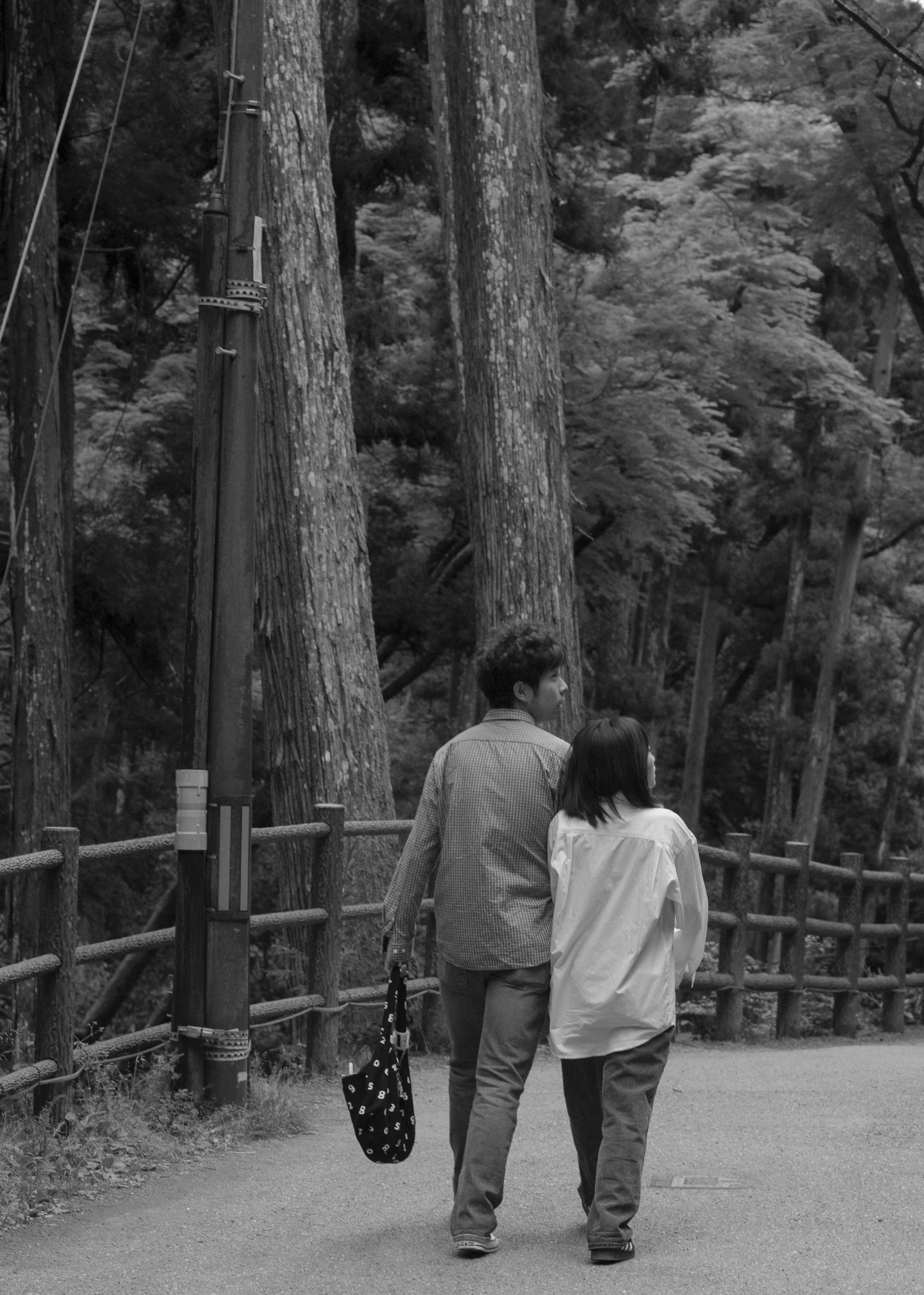 Minoh Falls, Osaka, Japan, Couple, Romantic, Holding Hands, Asia