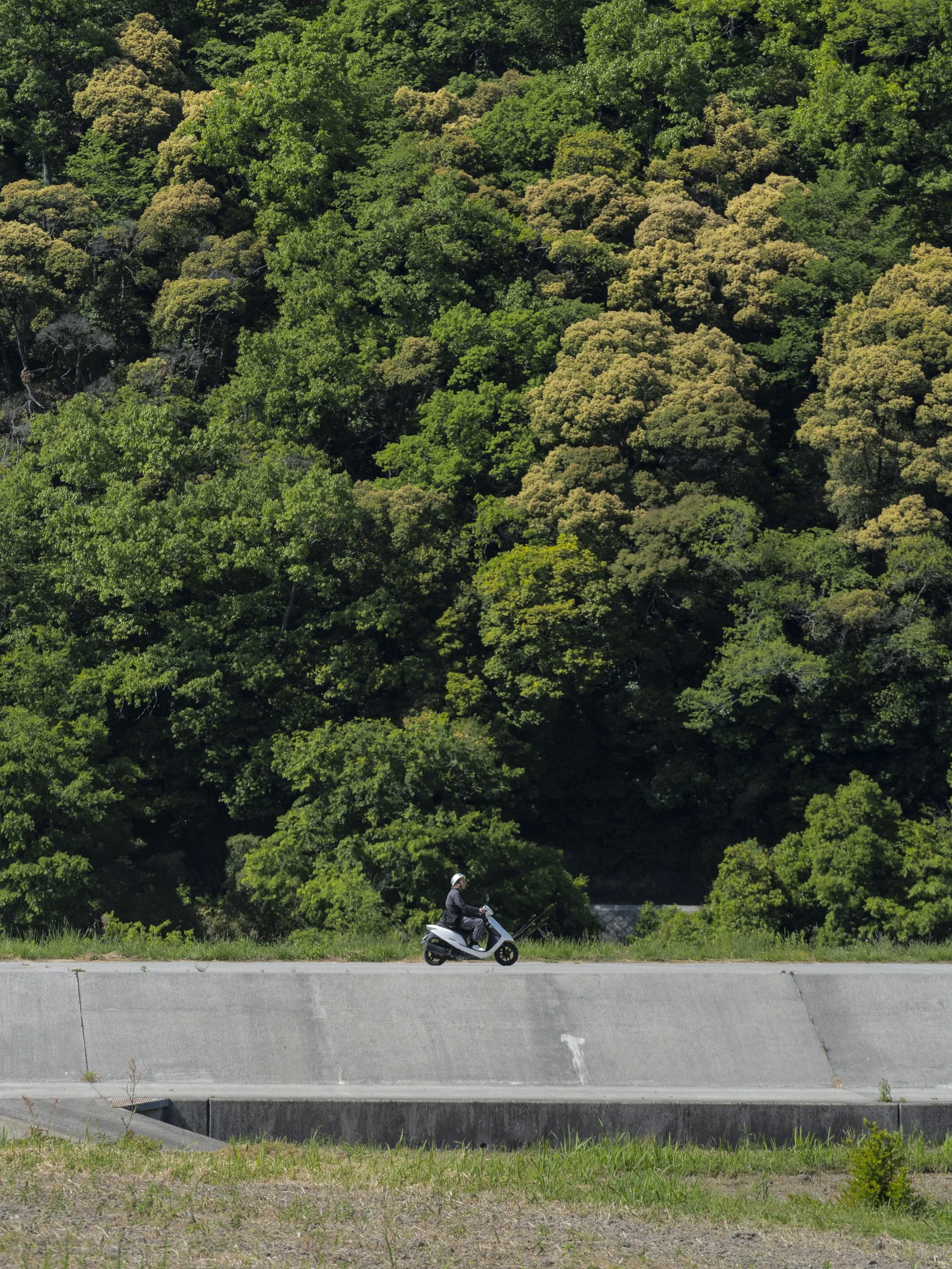 Kyoto, Arashiyama, Hiking, Scooter, Forest, Japan, Minimalist, Asia