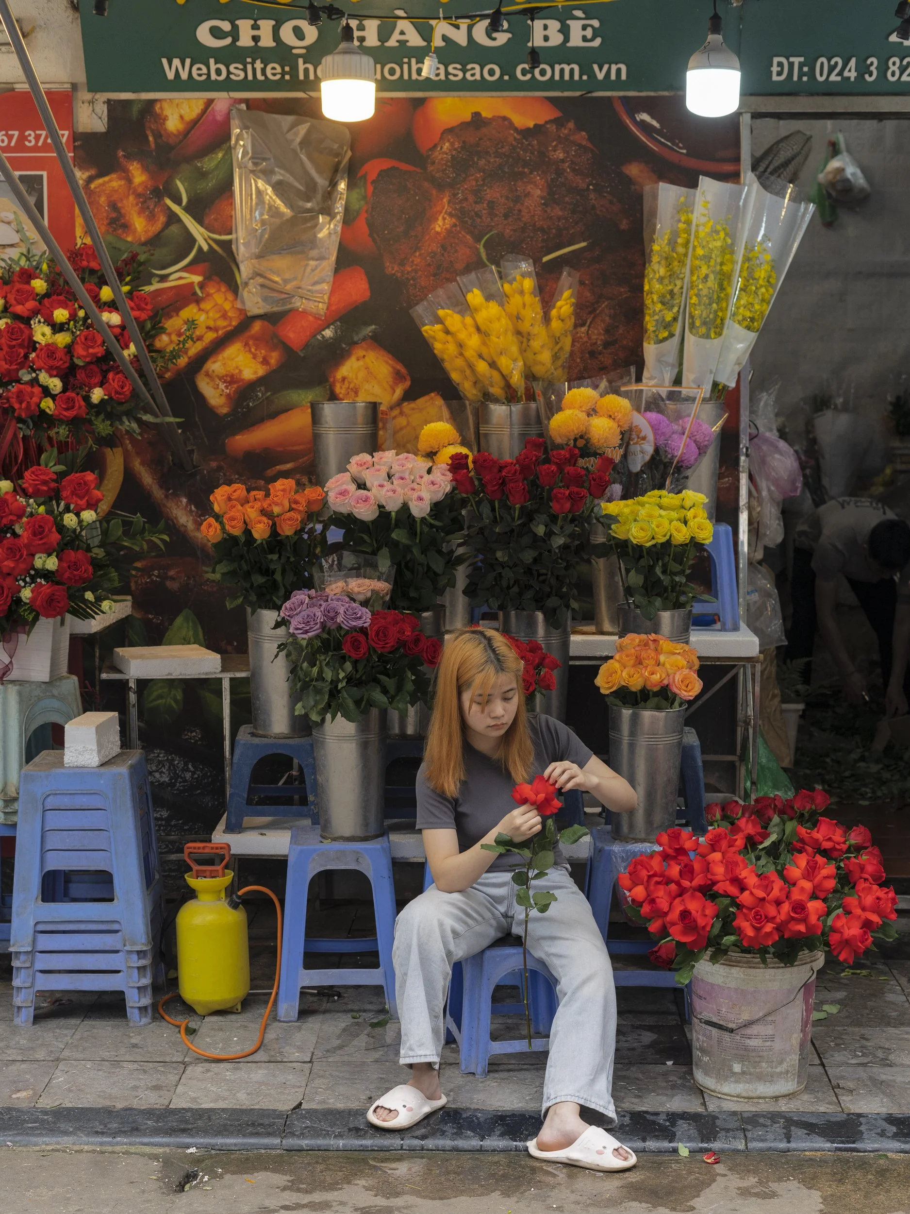 Hanoi, Vietnam, Southeast Asia, Roses, Bouquet, Flower Market