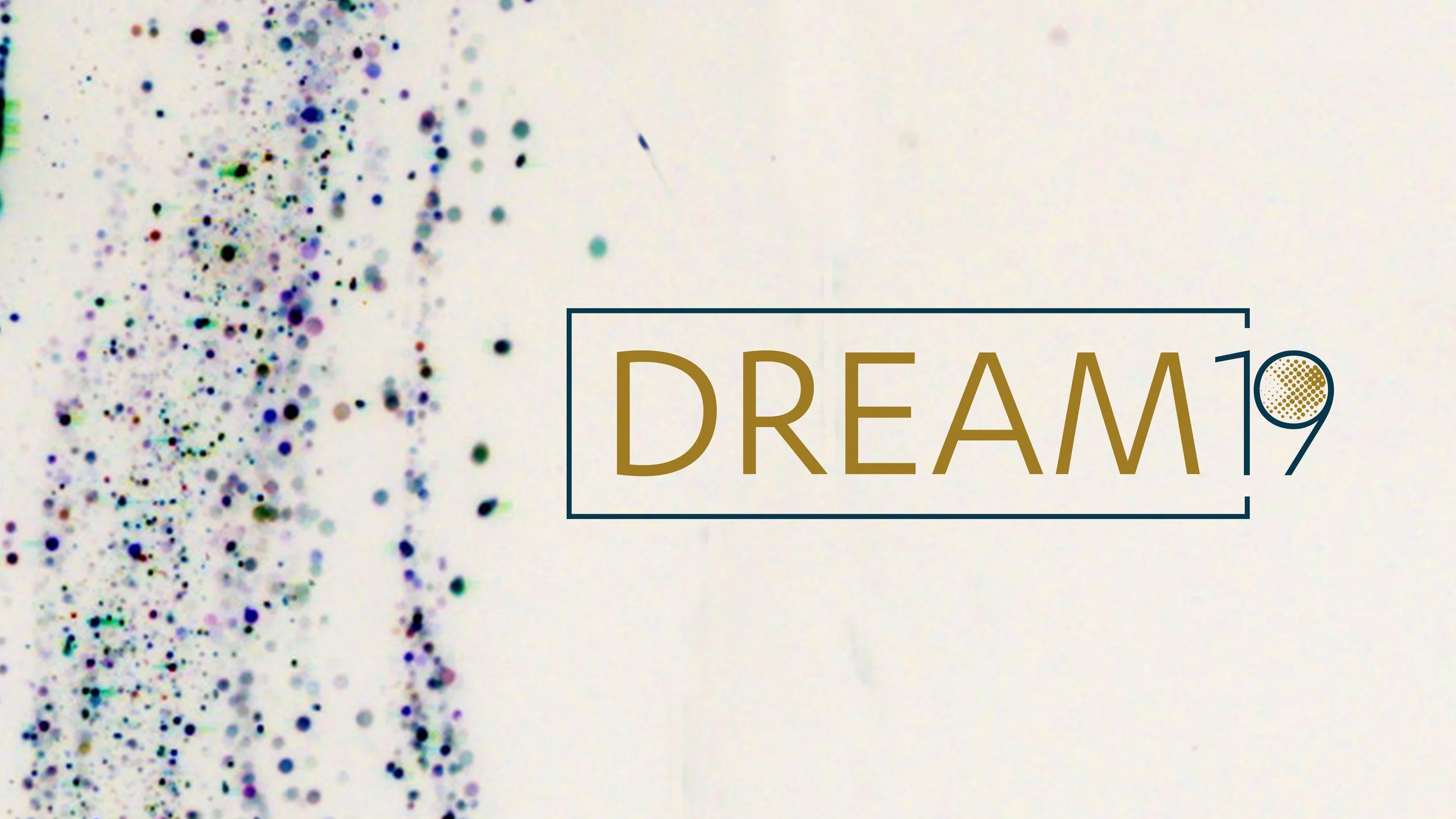 Dream 19: Week 4