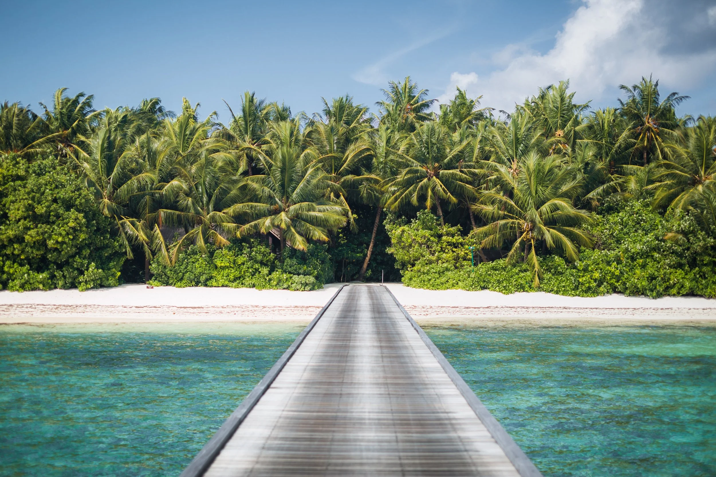 Vampped 2017 edit'd-22 (1).jpg.jpeg