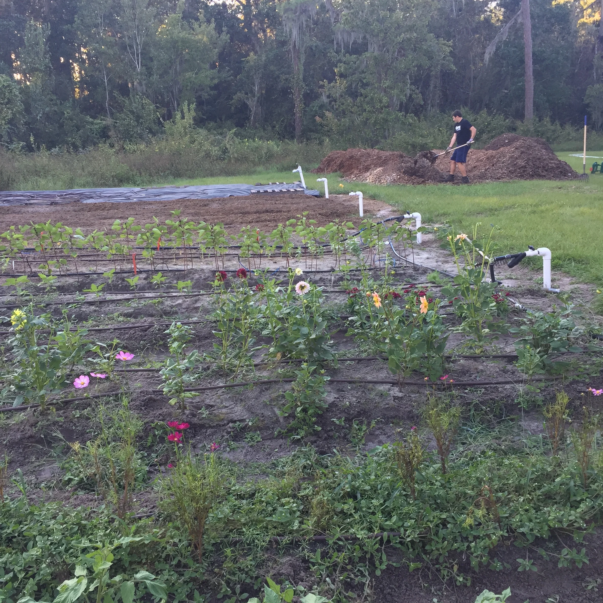 Fork to Farm with A Simpler Place