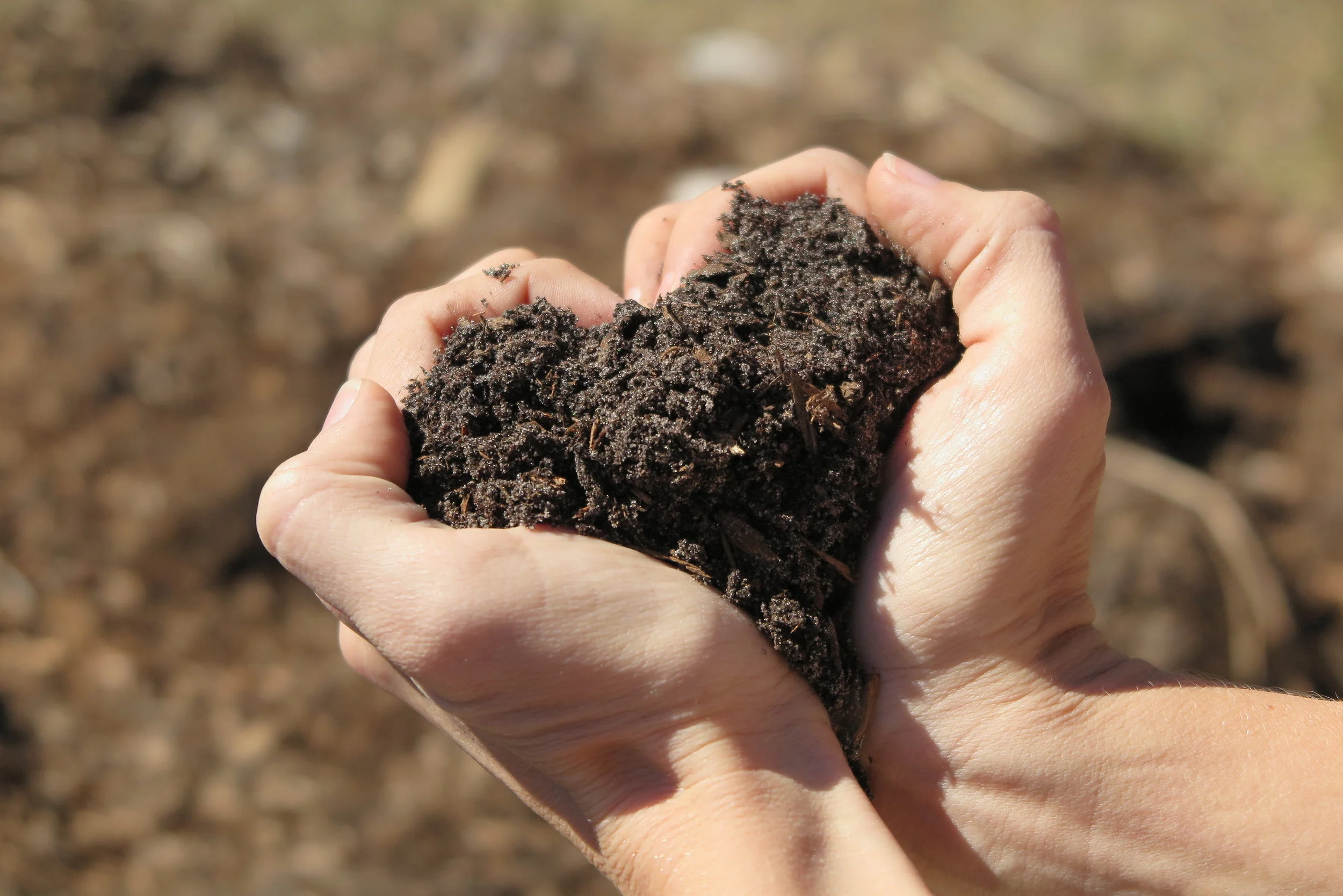 What to expect when you're expecting compost
