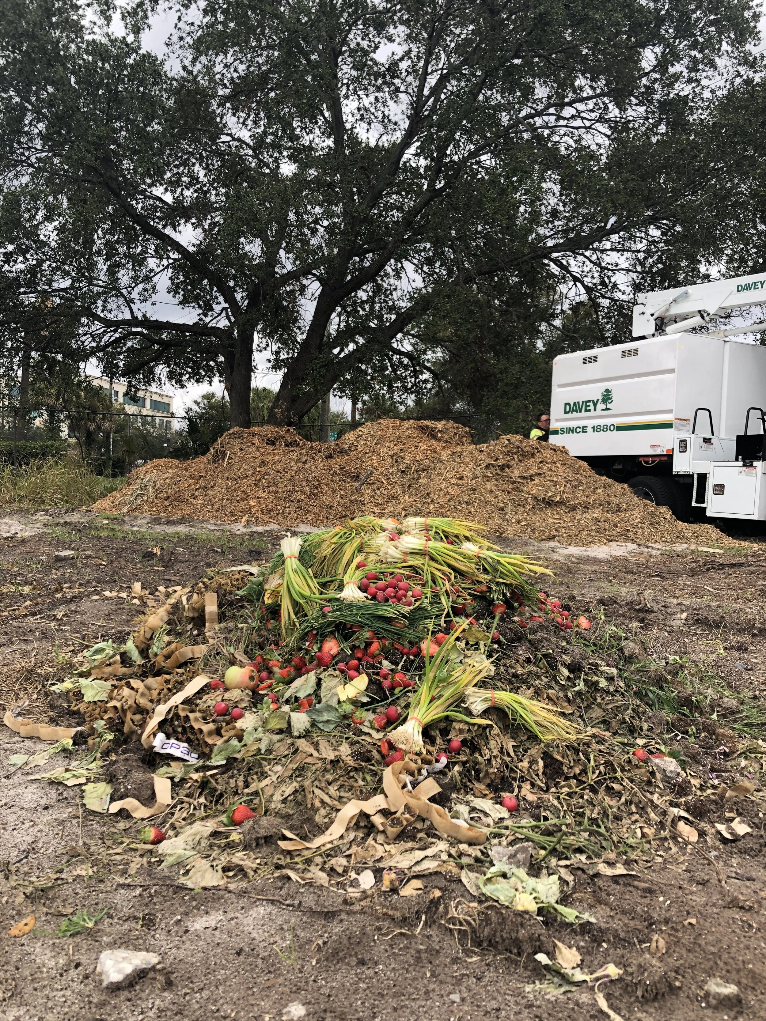 Suncoast Compost x Meacham Urban Farm