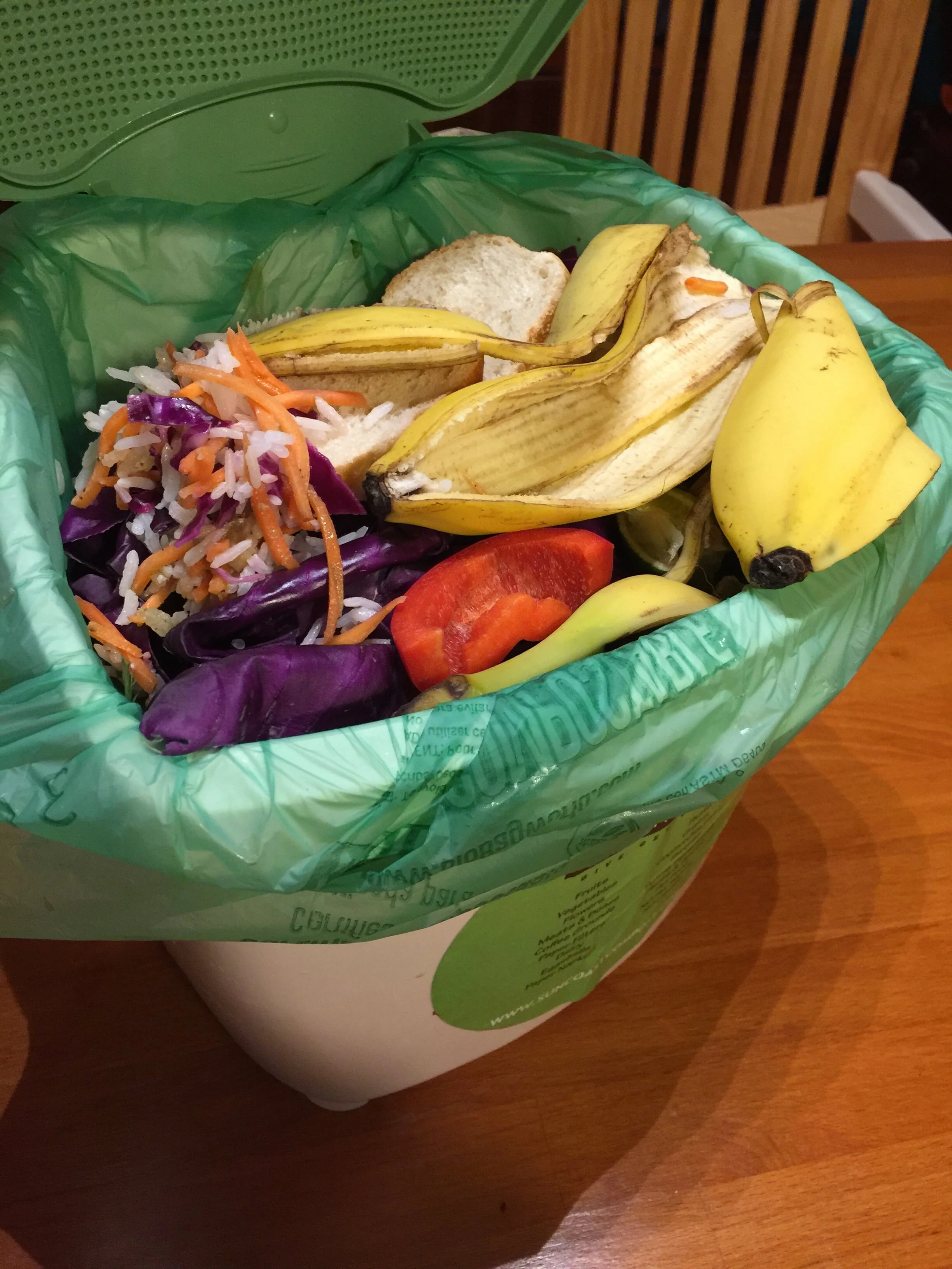 Maggots in your compost bin? 