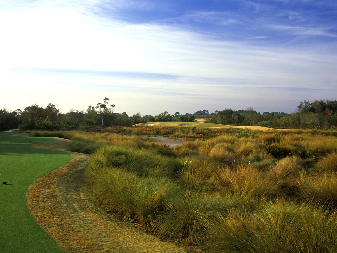 Golf Course grasses.jpeg