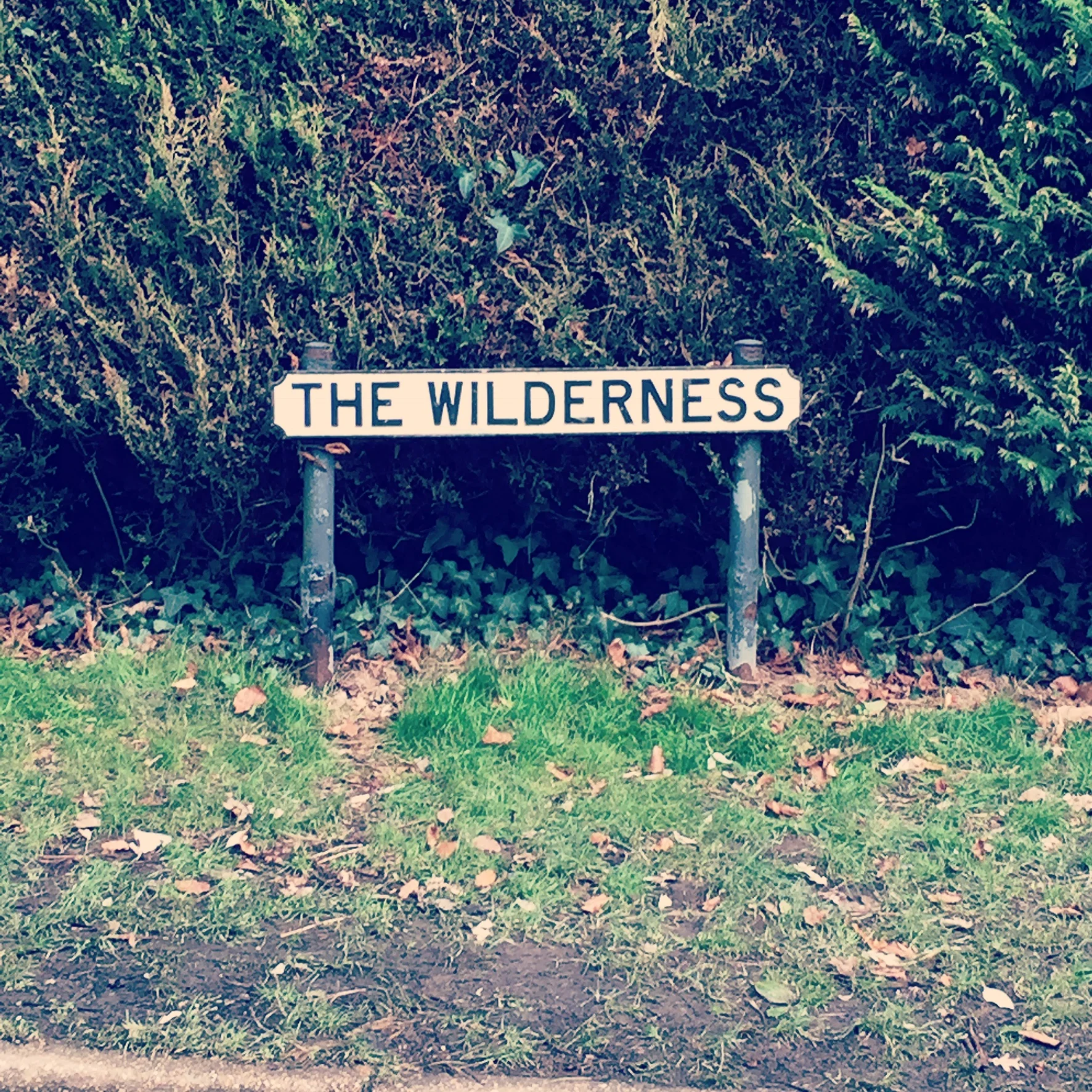 Exploring The Wilderness inside ourselves