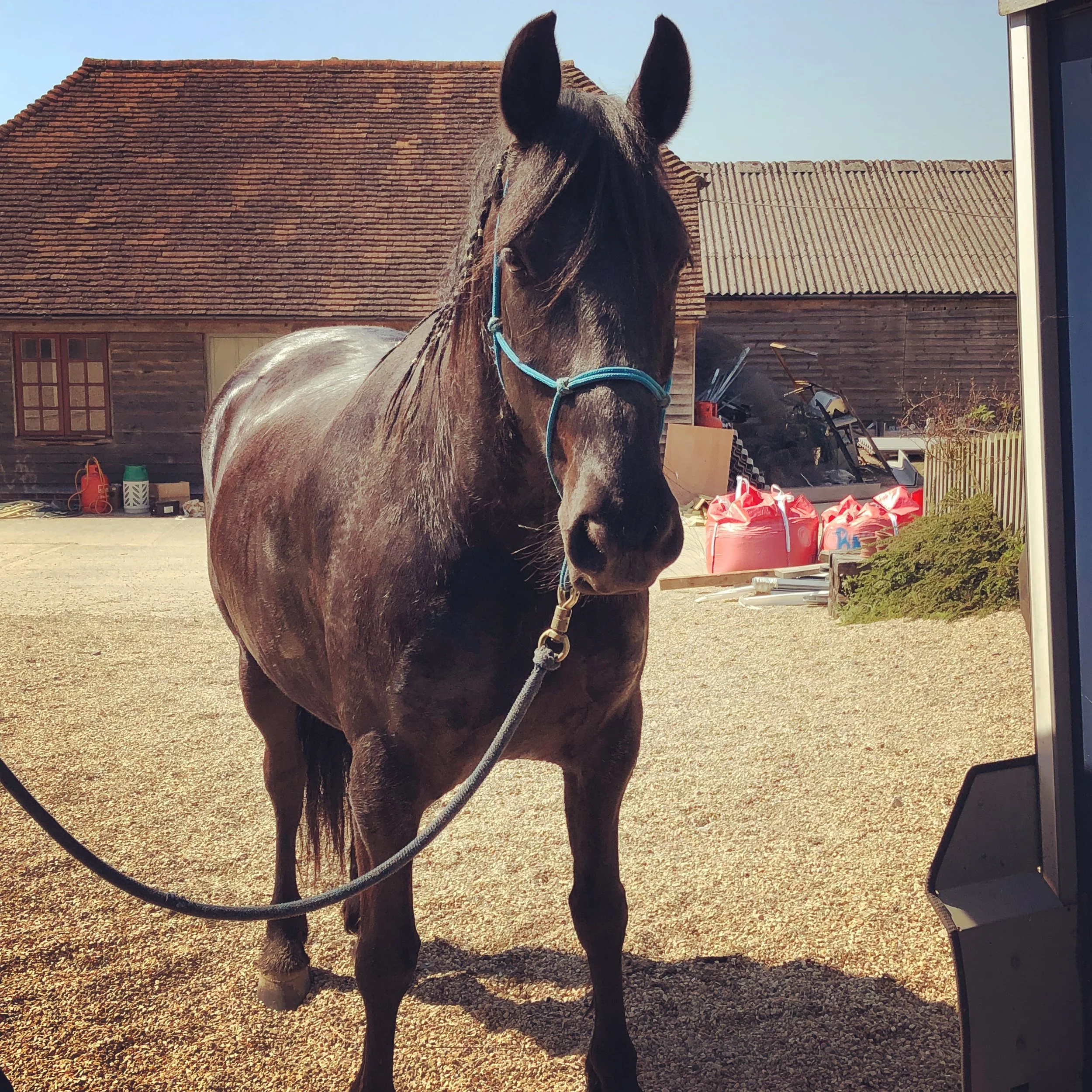 Mindful Bank Holidays