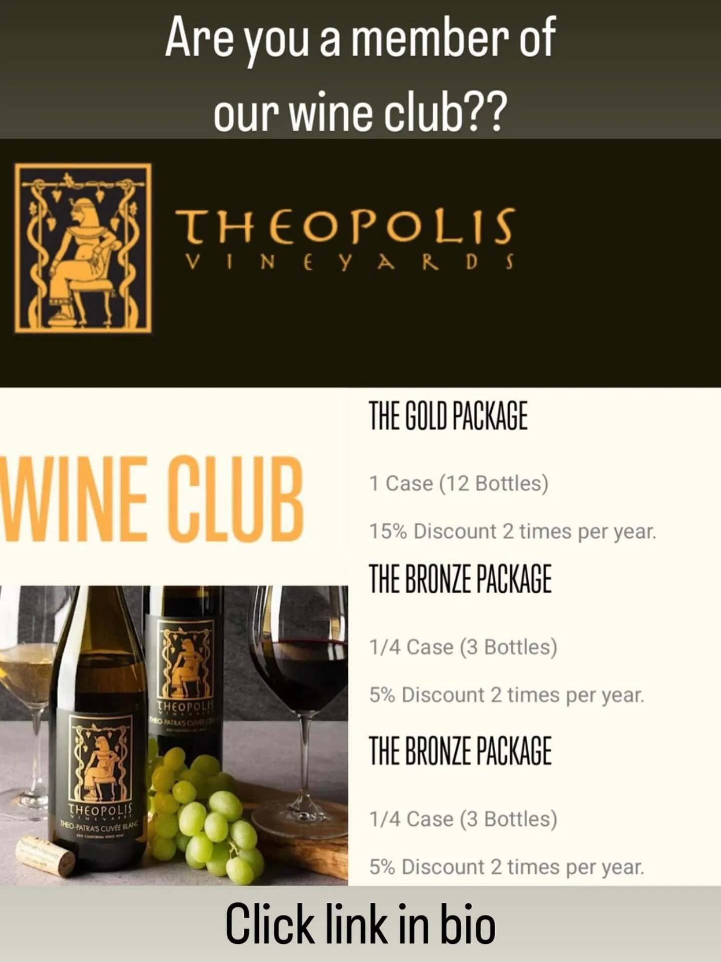 Are You in the Theopolis Vineyards Wine Club?
~
Sign up to access exclusive events like our Harvest Party and Barrel Tasting,  limited vintages, and special discounts. As a Wine Club member you get discounts on our wine all year round.
~
There are th
