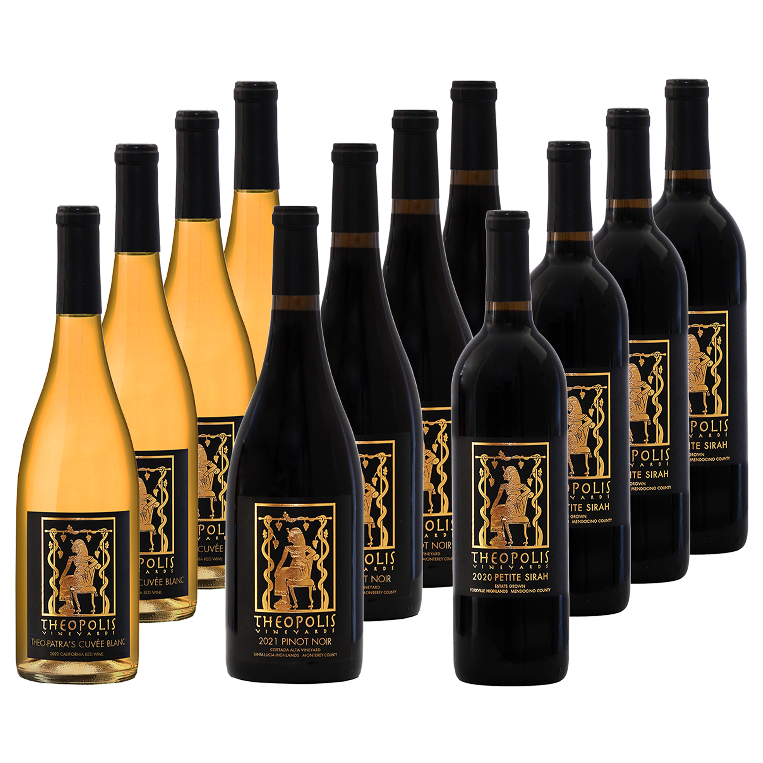 Thanksgiving 12-Pack Special