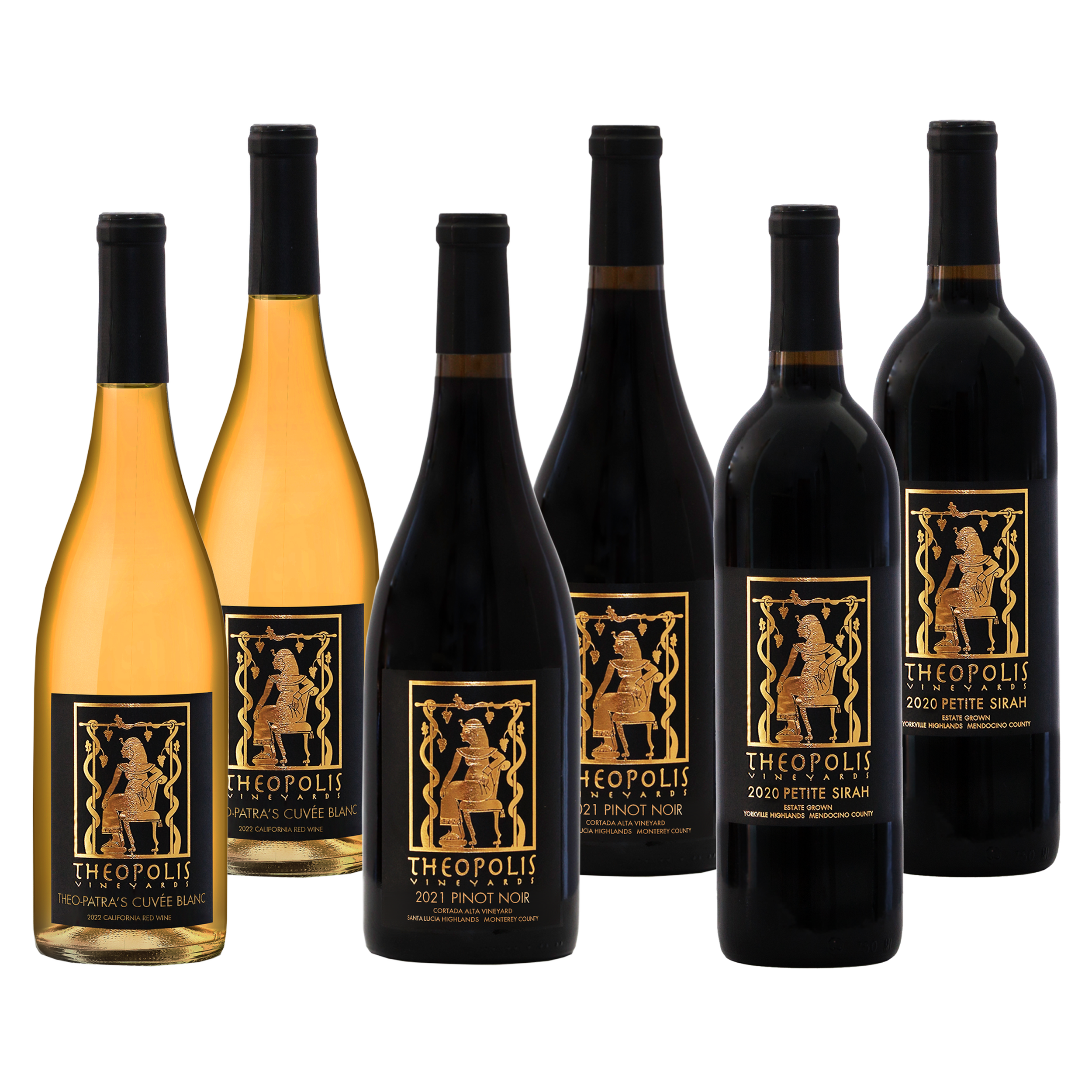 Thanksgiving 6-Pack Special