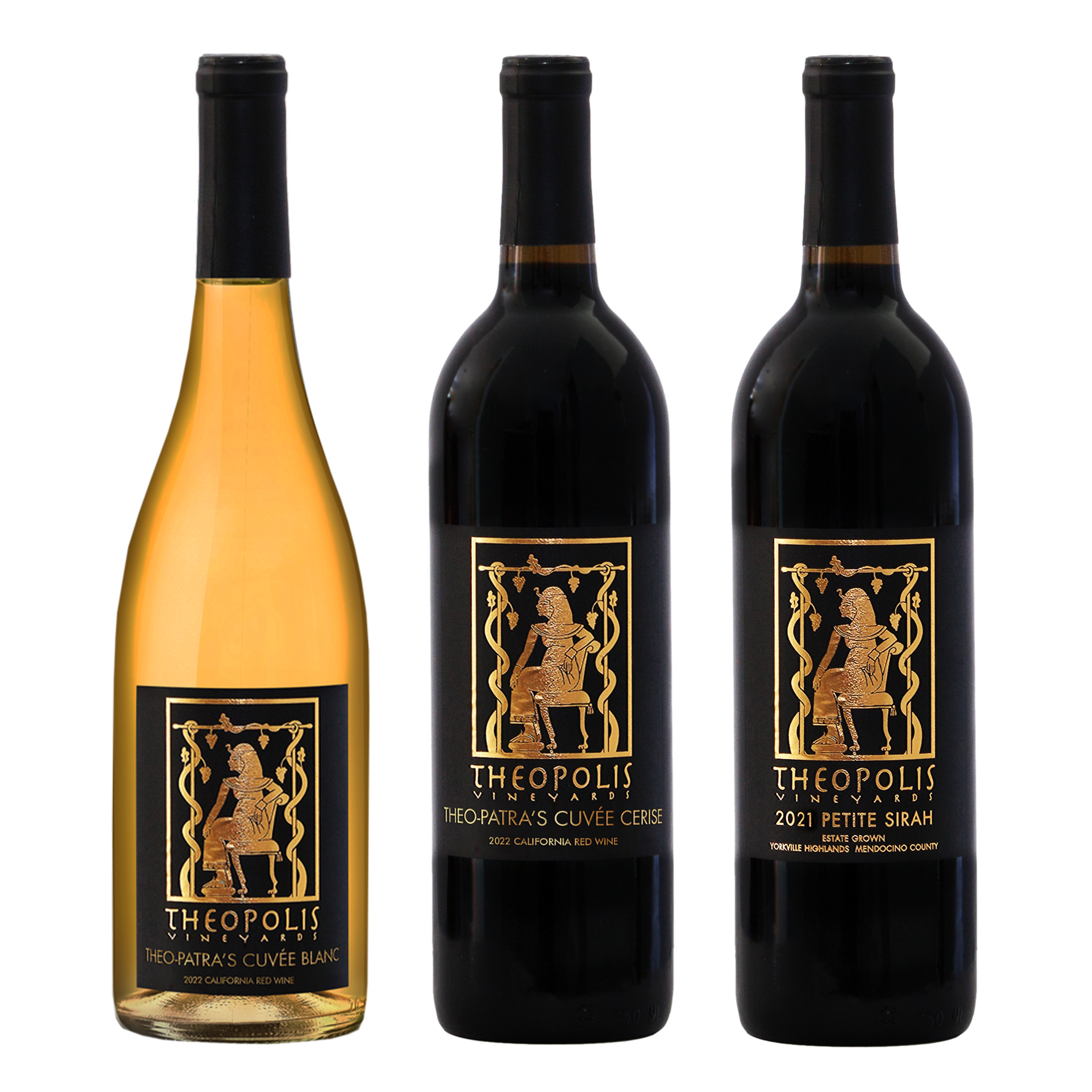 3-pack-5.1.26.png
