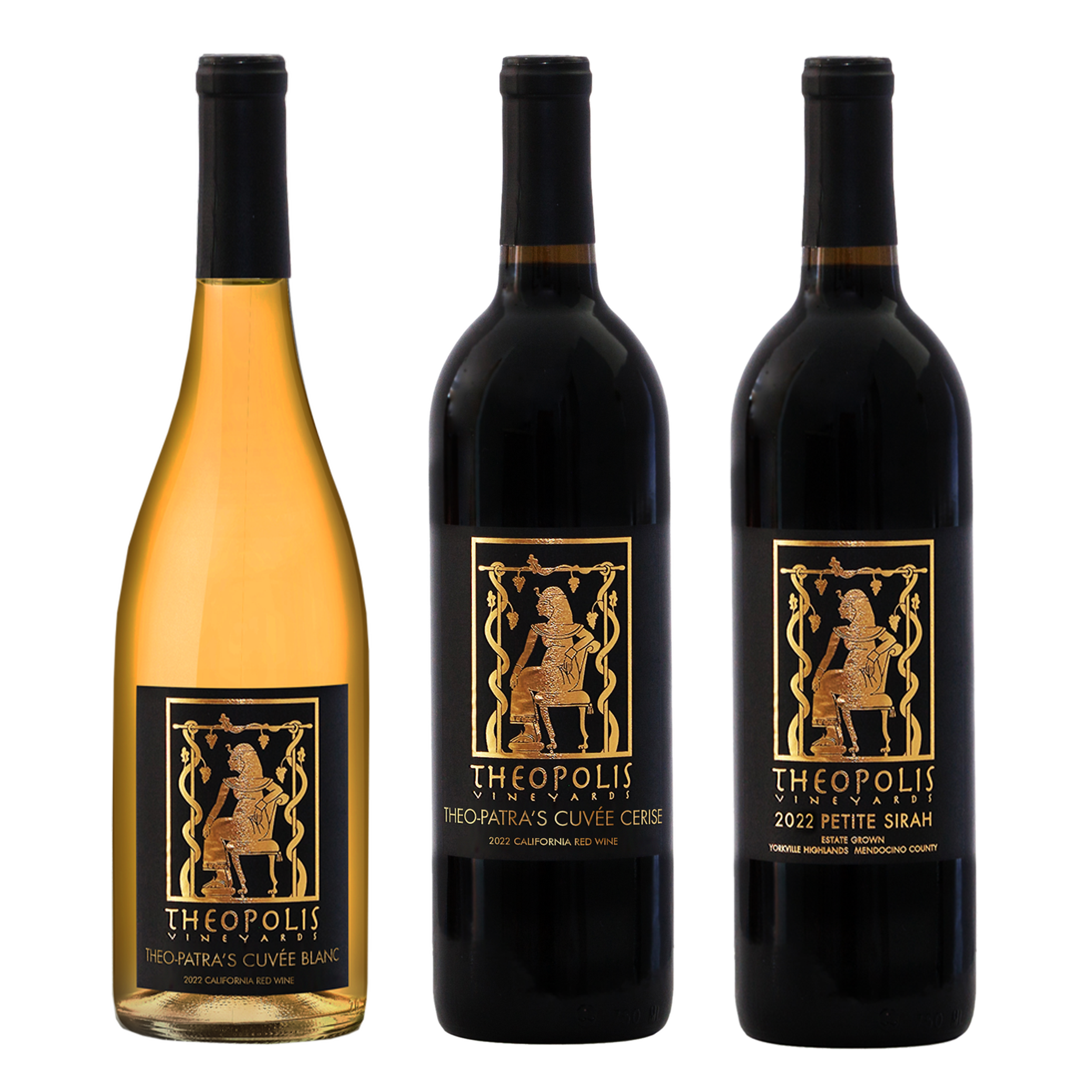 3-pack-2.17.26 copy.png