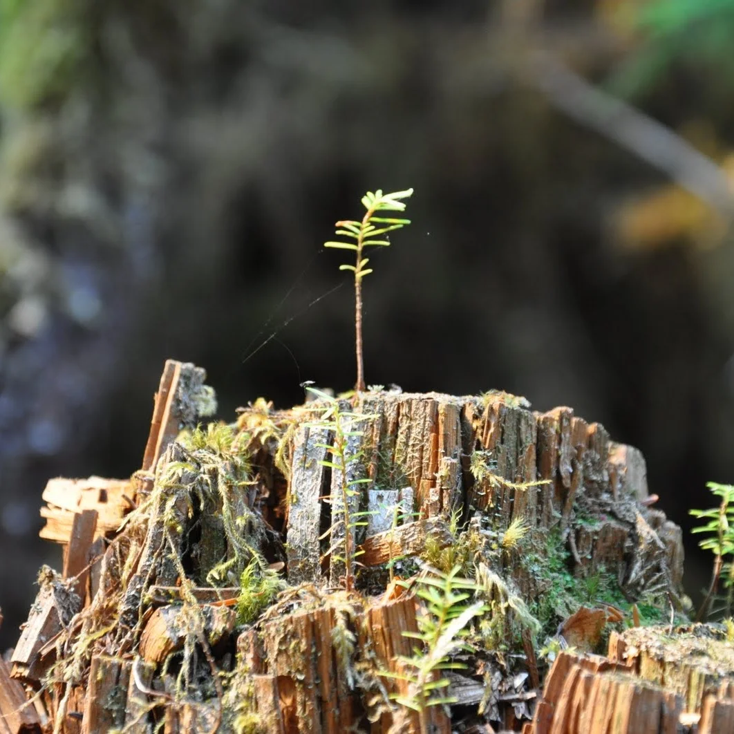2011-09-09_18749+%281%29.jpg
