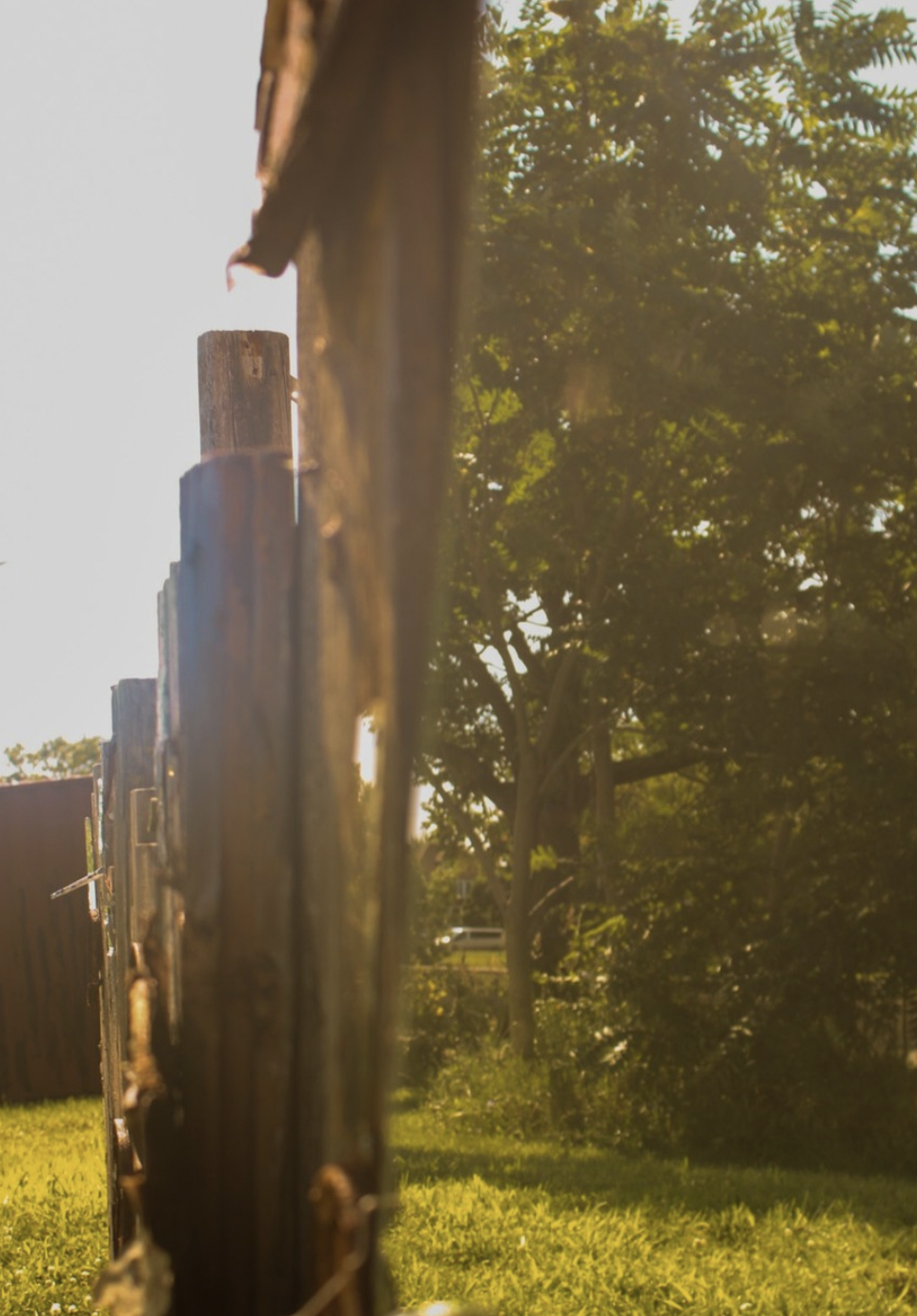 Screen Shot 2024-11-15 at 1.08.25 PM.png