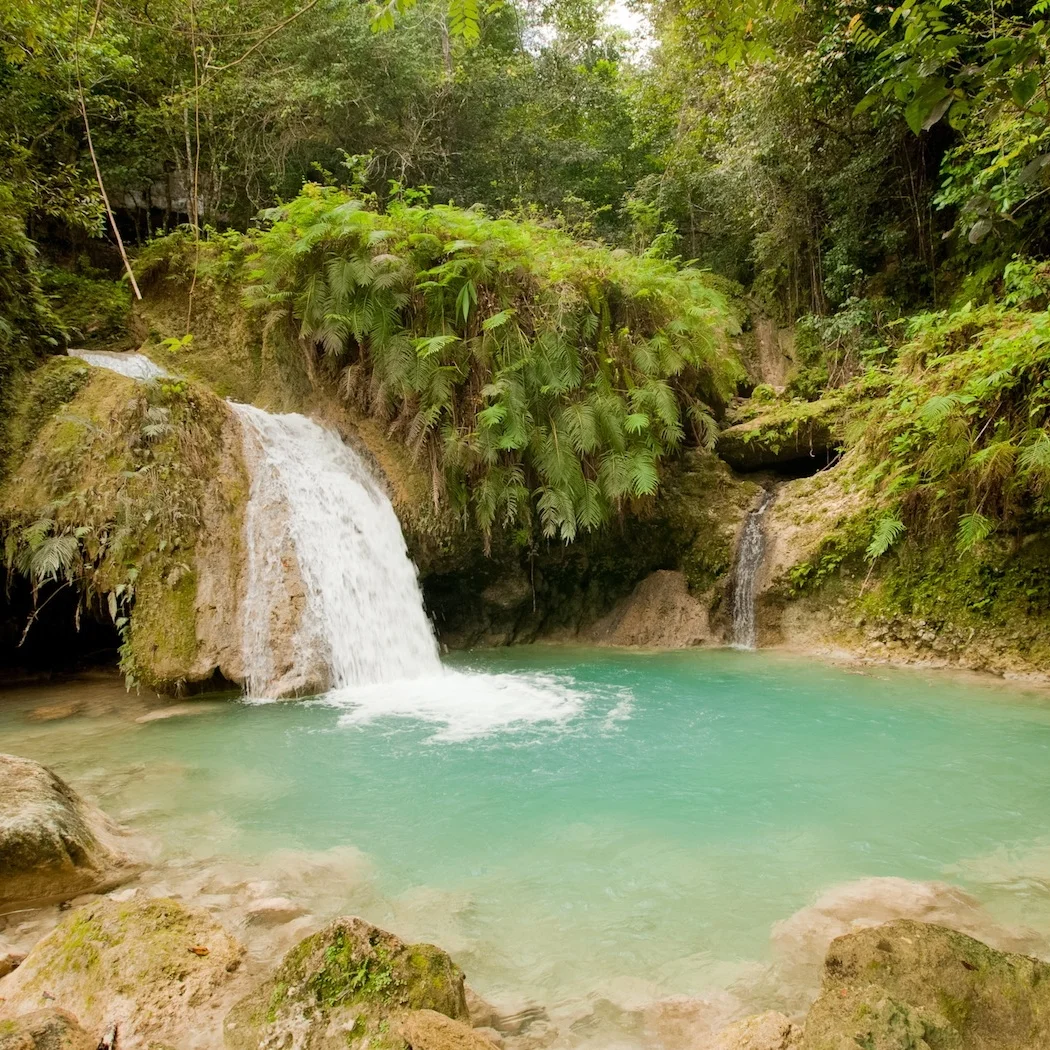 0170-charcos-0.jpg