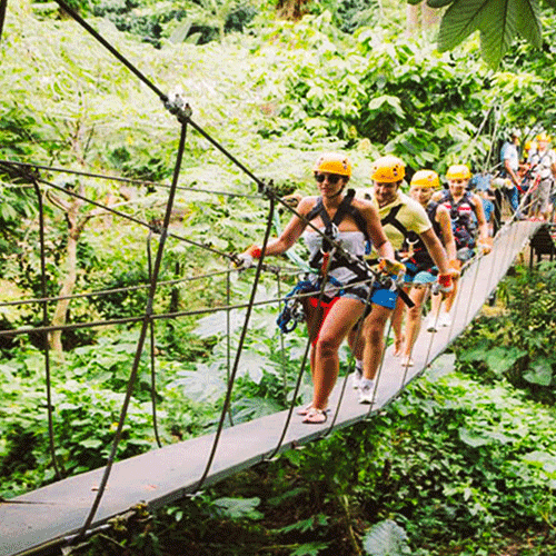 Explore the Jungle Canopy Heights and sites - optional