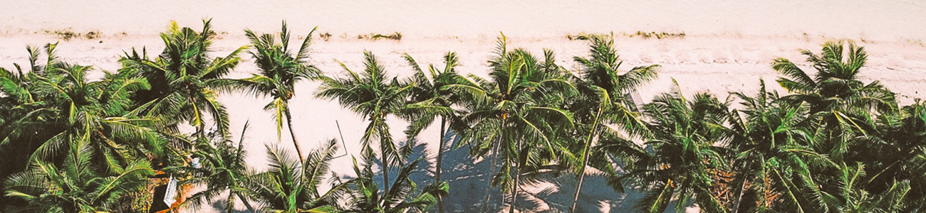 ceremony-travel-faq-banner-grad-palmtrees-review.jpg