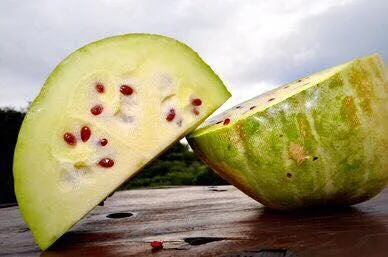 melon.jpg
