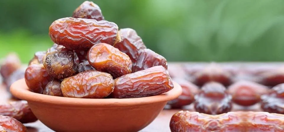 Dates protien 