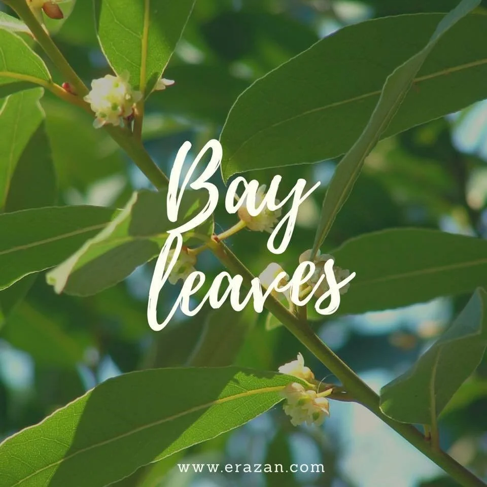 Bay Leaves