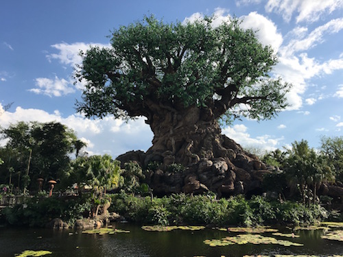 The stunning Tree of Life in The Animal Kingdom 