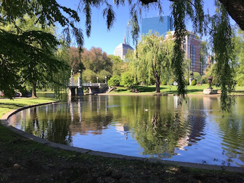 Boston's Public Garden. More swooning! 