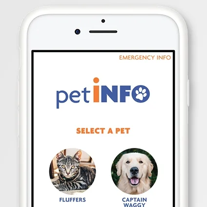   PET INFO:  Concept, logo, and design for app featuring an easy way to store and access your pets' health information. 
