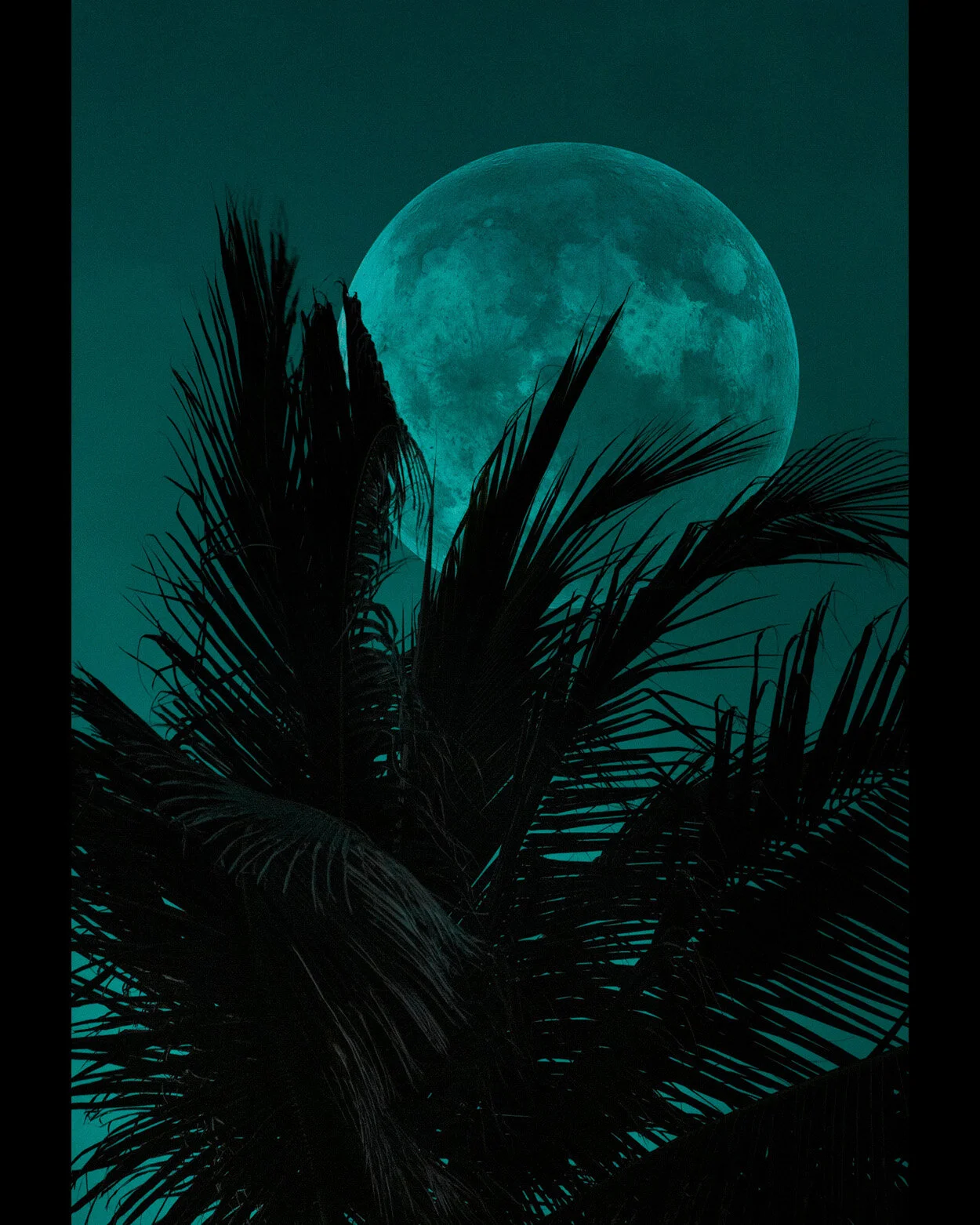 NEW MOON2.jpg