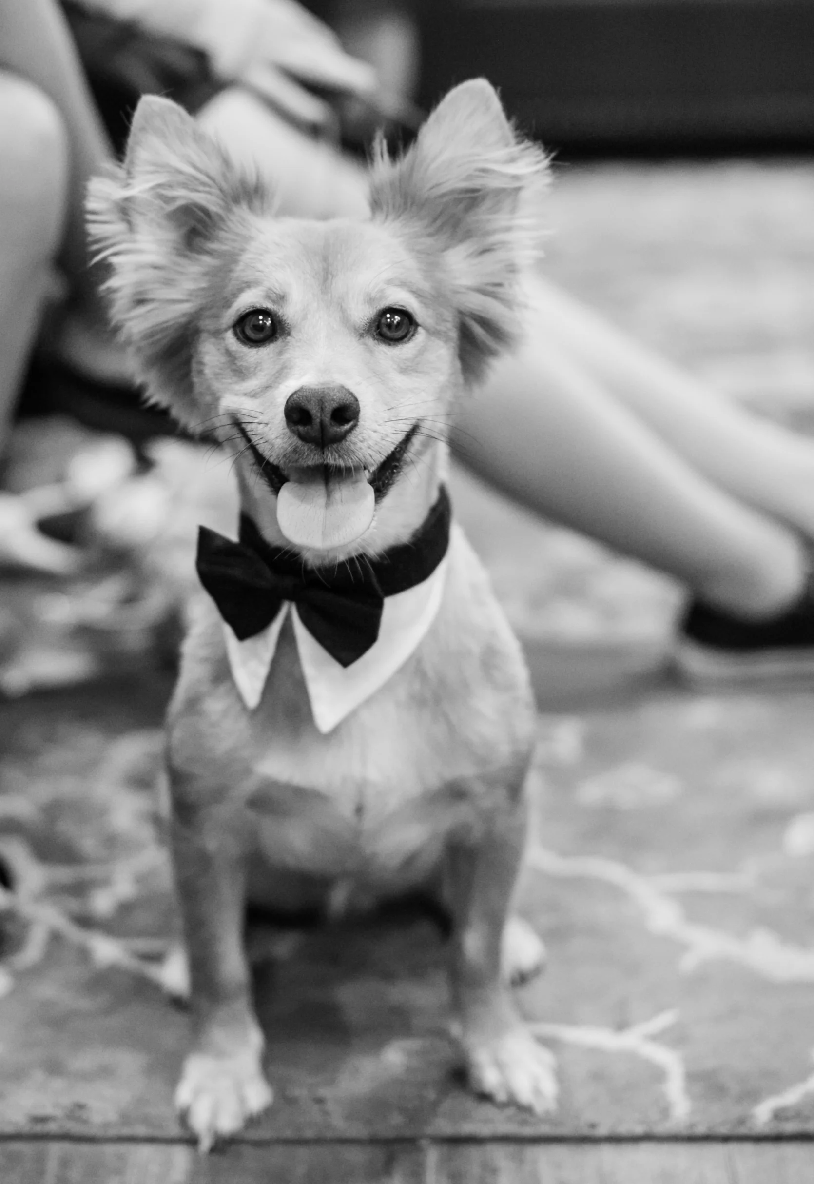 fresnowedding-349.jpg