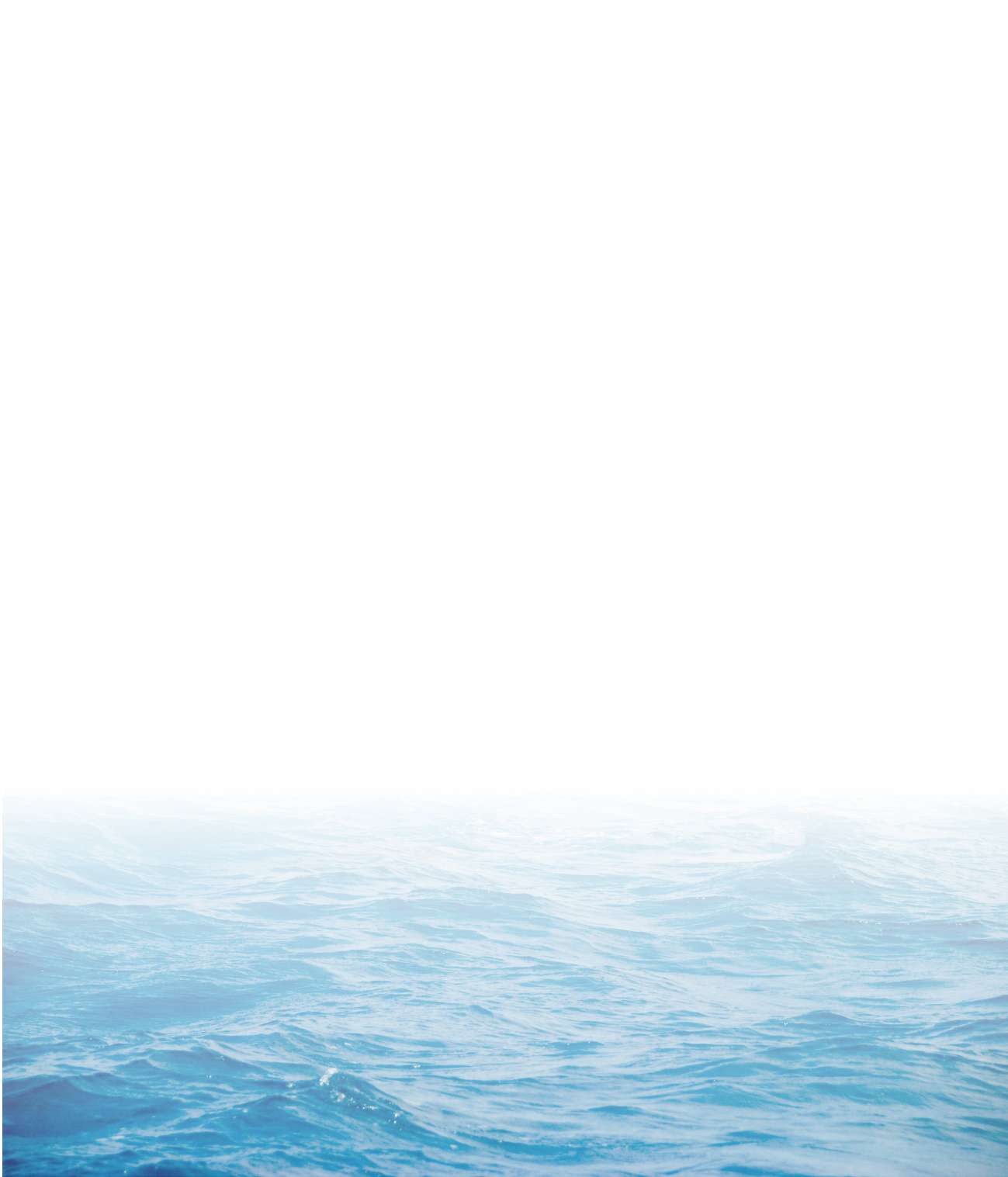 ocean face.png