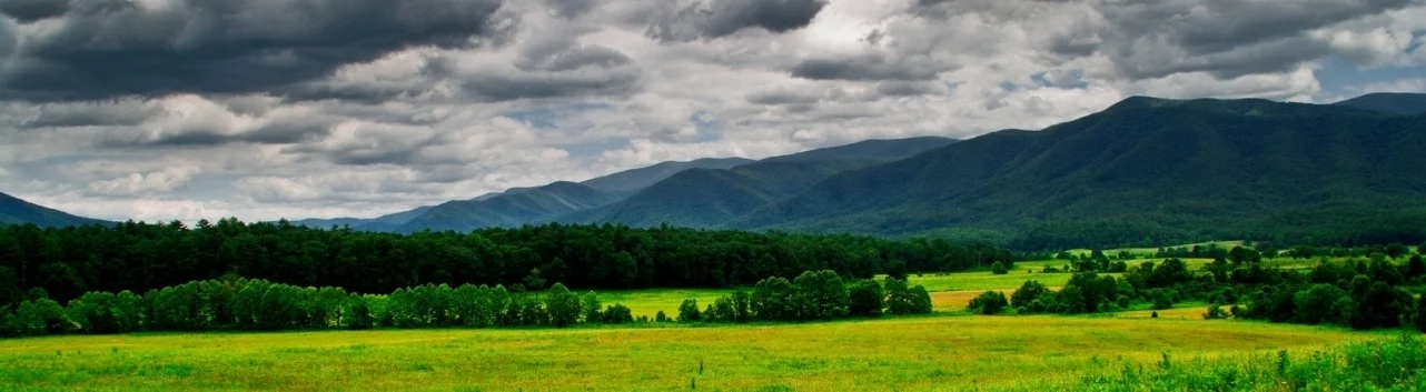field.jpg