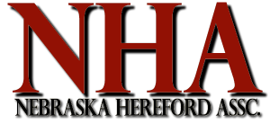 nha-300x138.png