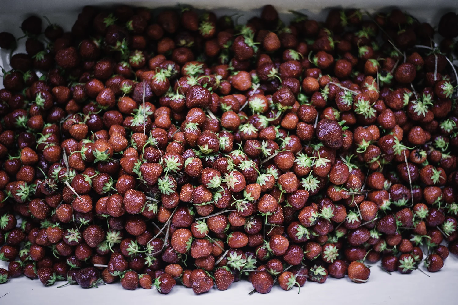 strawberries.jpg