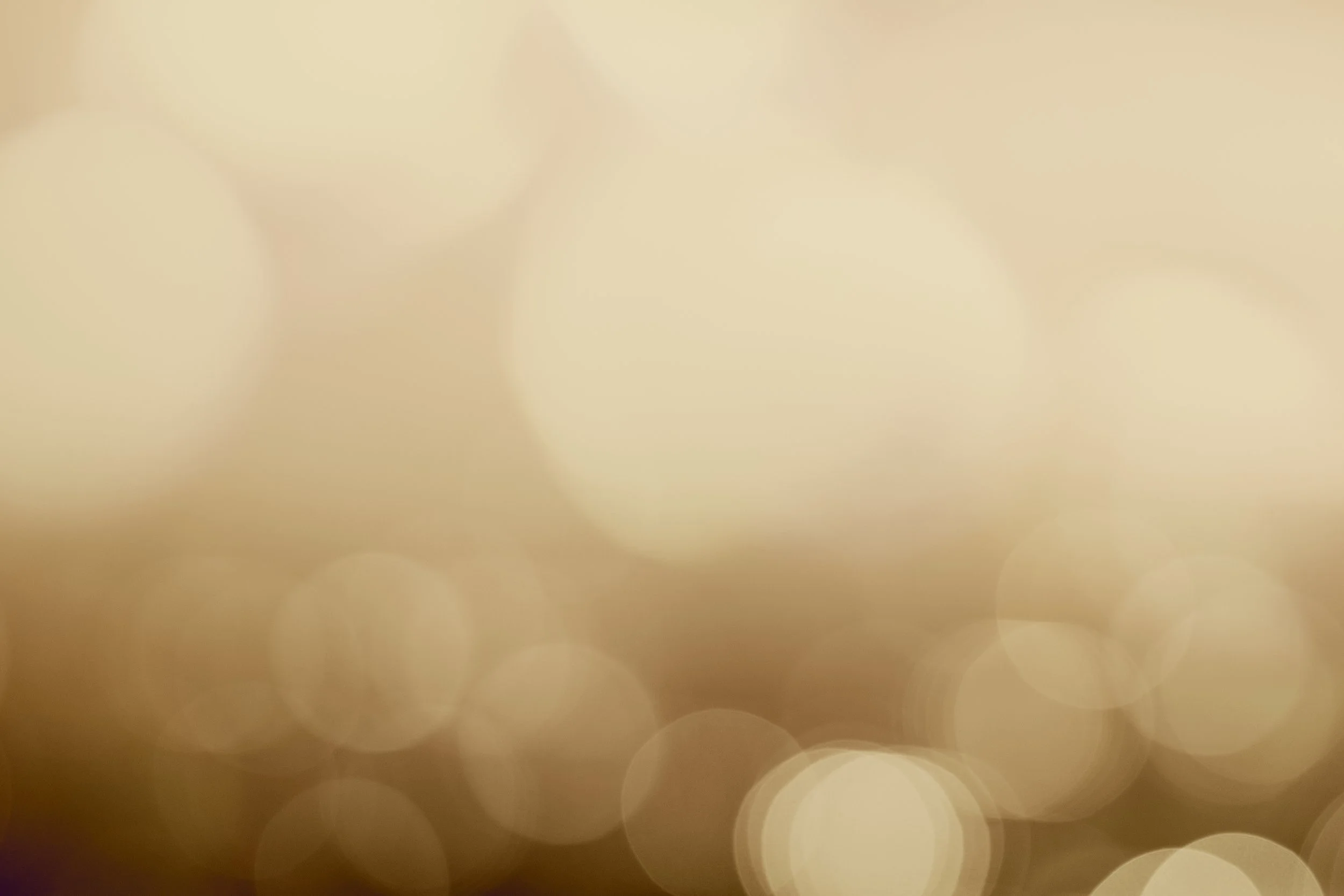 brown-bokeh-patterned-background-illustration-2023-11-27-05-21-52-utc.jpg