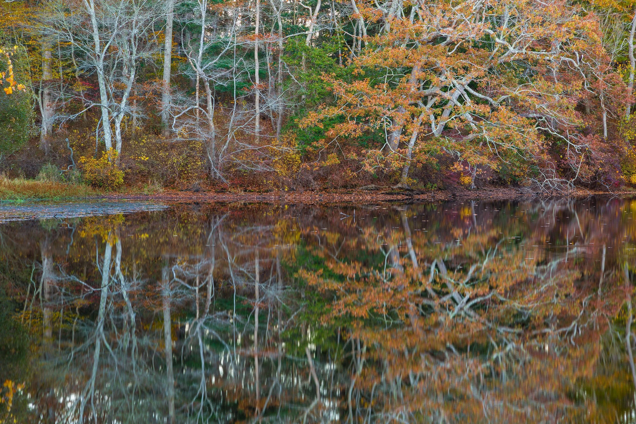 FallReflection.jpg