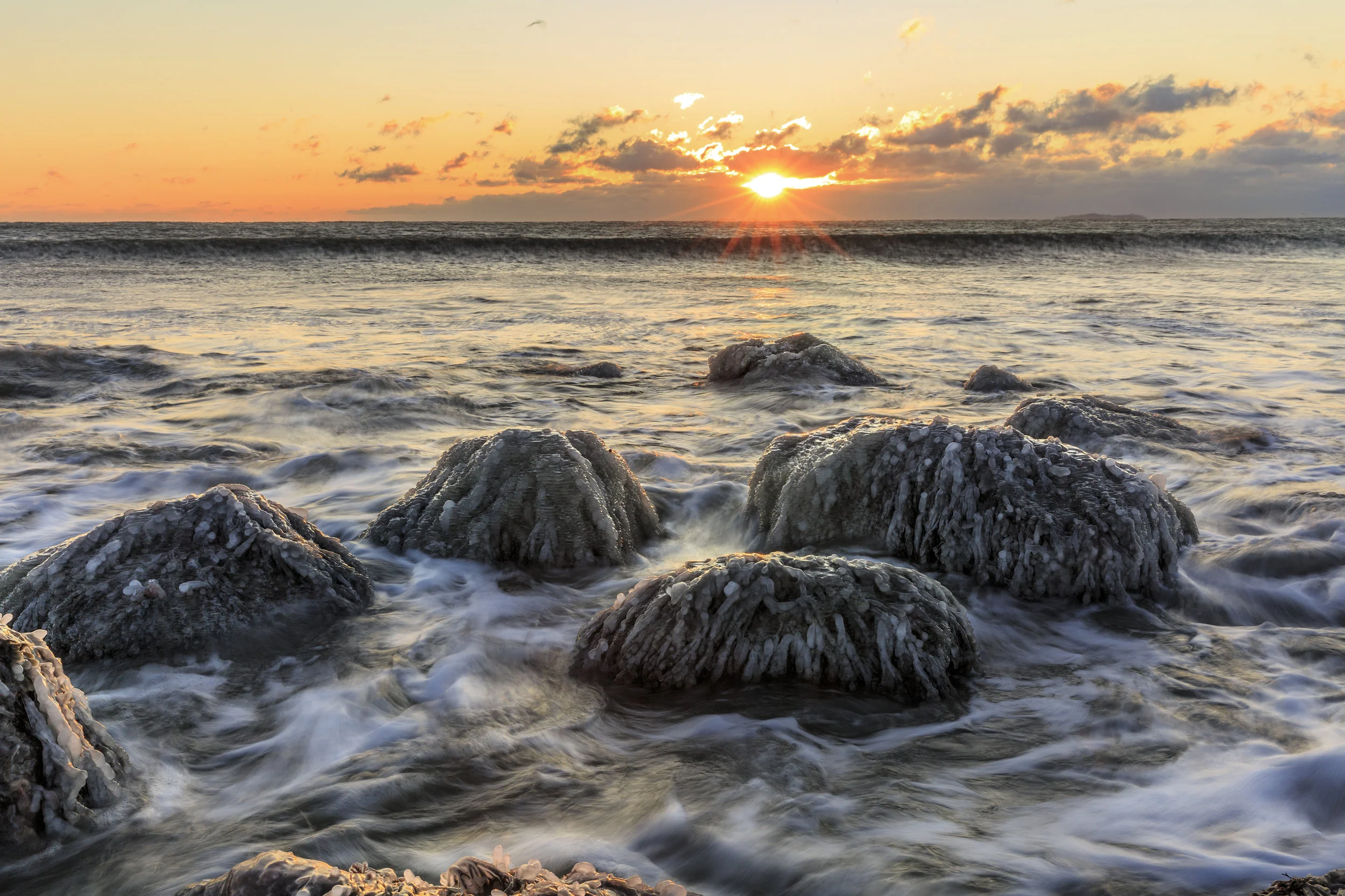 Frozen Shoreline - Westport, MA