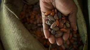 Beyond The Wire. The World Bank.