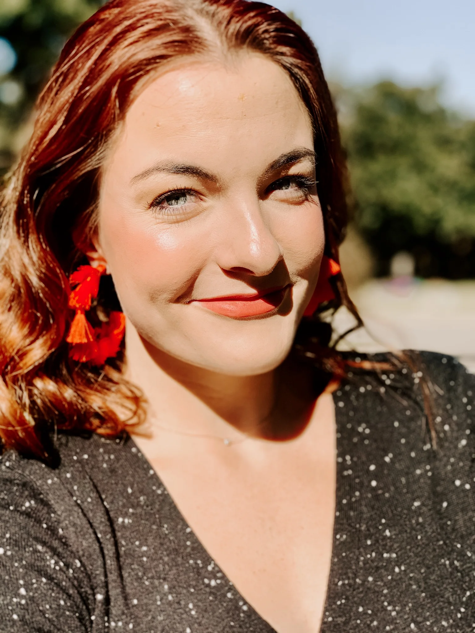 RED, WHITE AND BLACK HOLIDAY DECOR