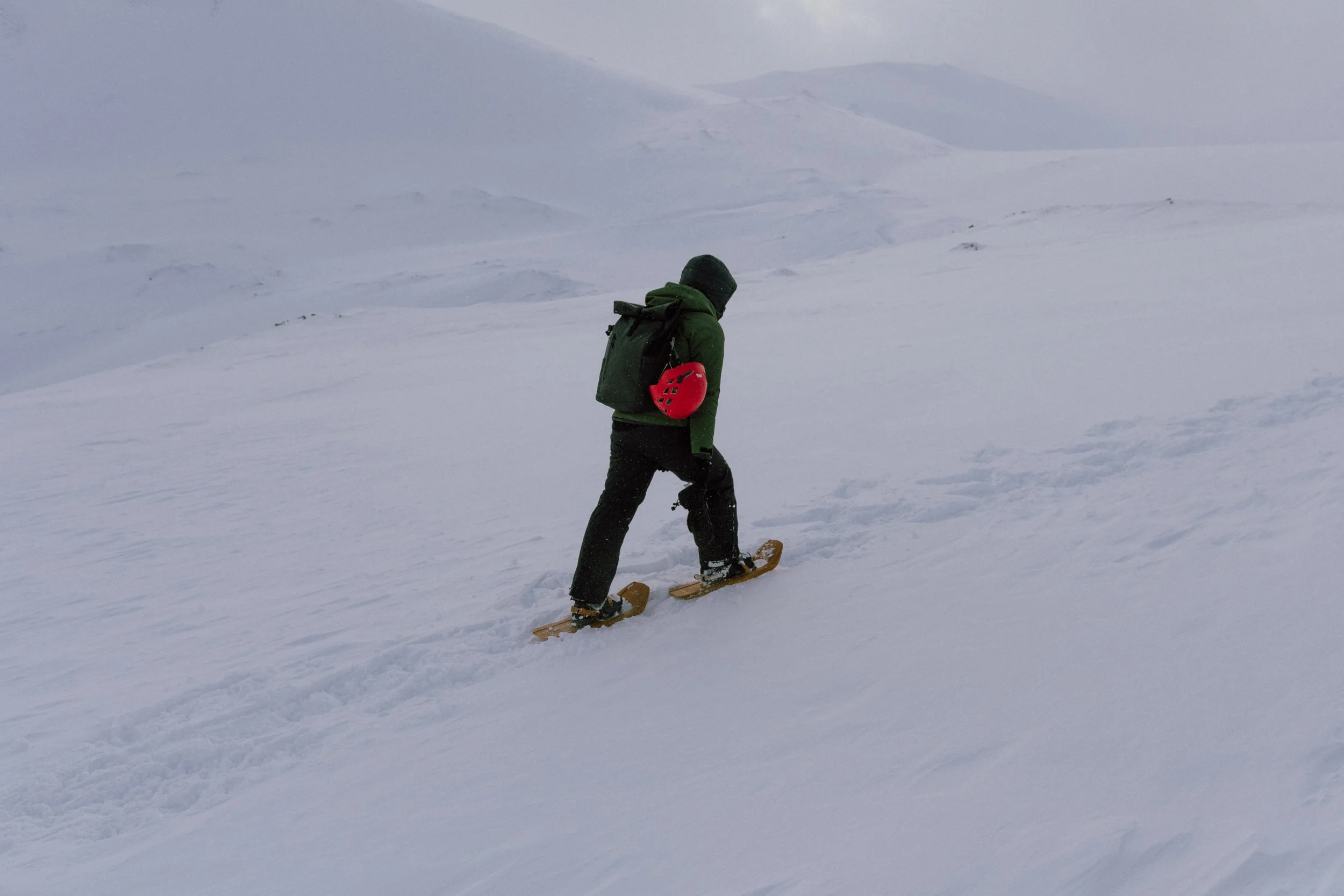 Stubble_mig.sousa_Svalbard_Lofoten_Mar25_2.jpg