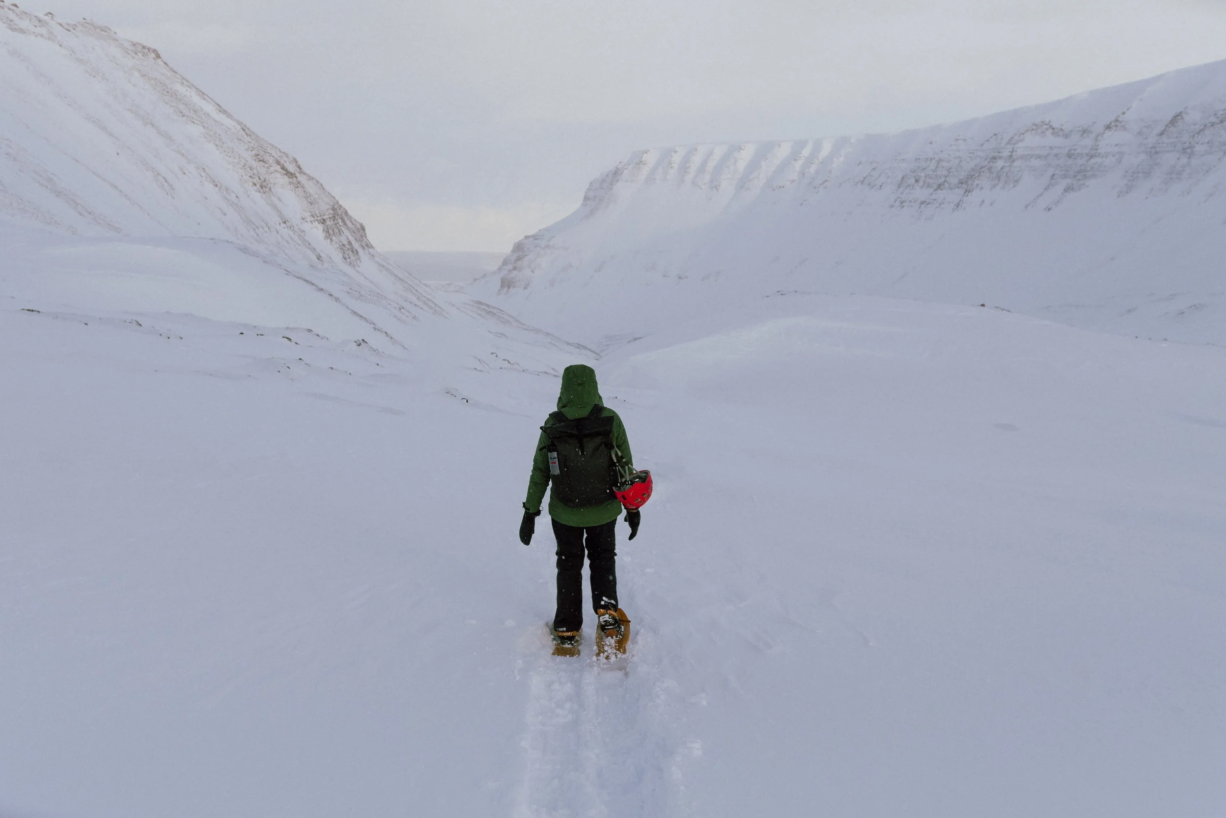 Stubble_mig.sousa_Svalbard_Lofoten_Mar25_6.jpg